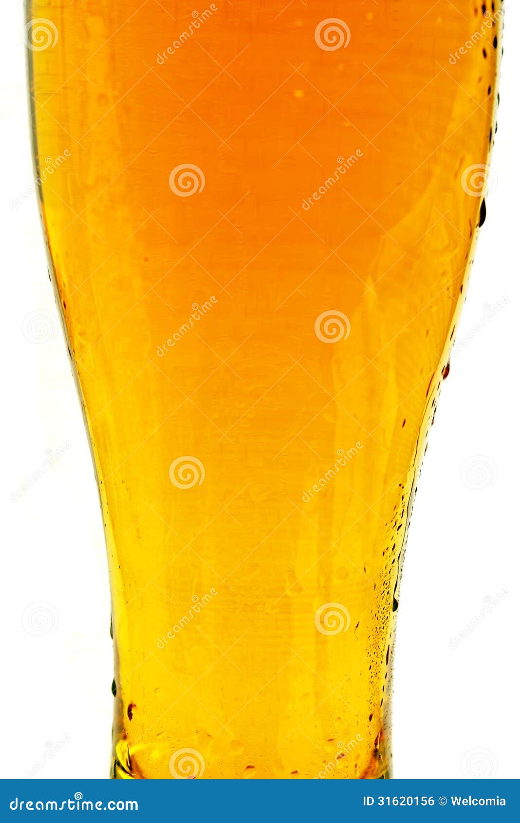 glass of beer