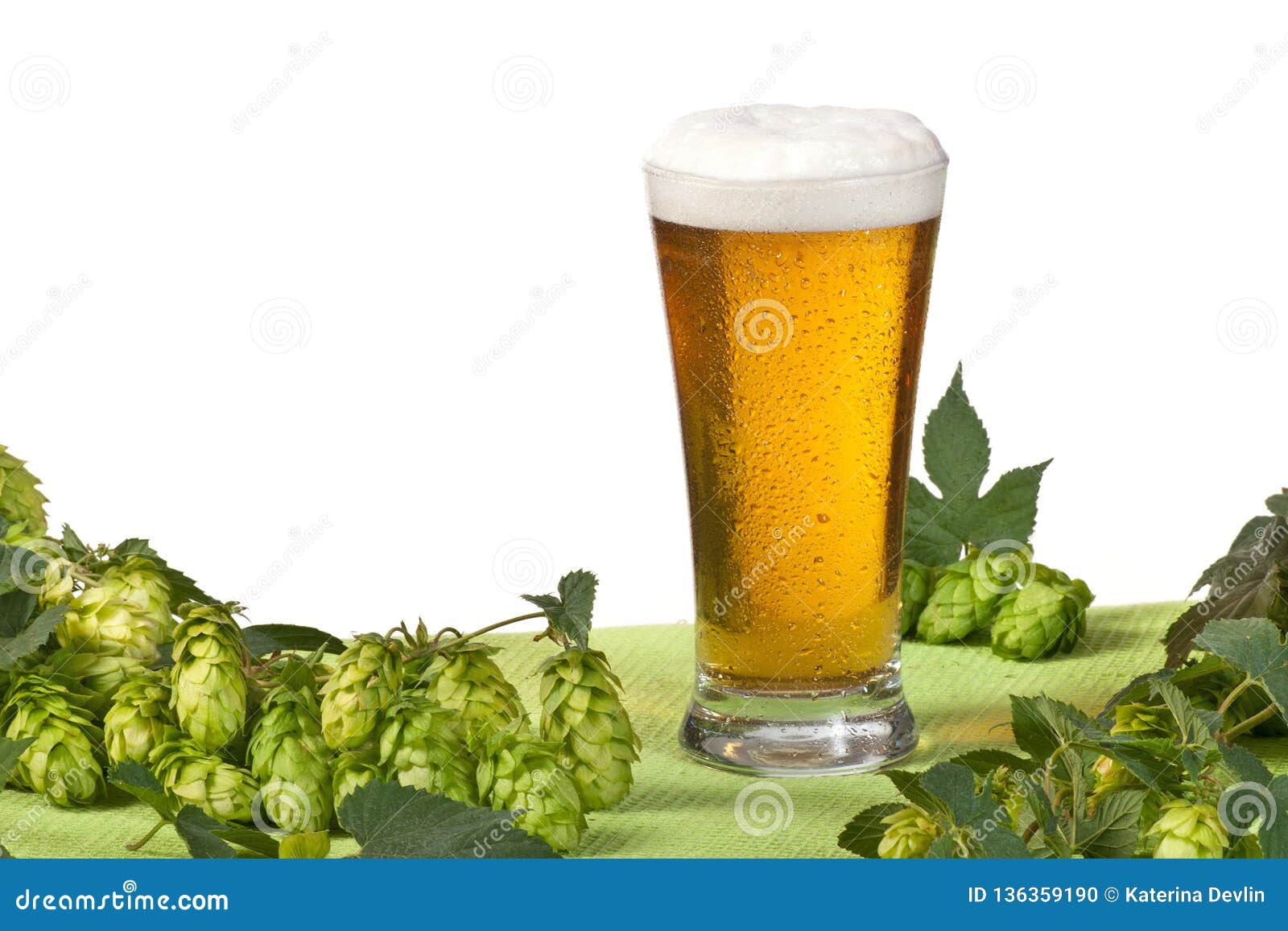 Glass of beer and hops stock photo. Image of white, beverage 136359190