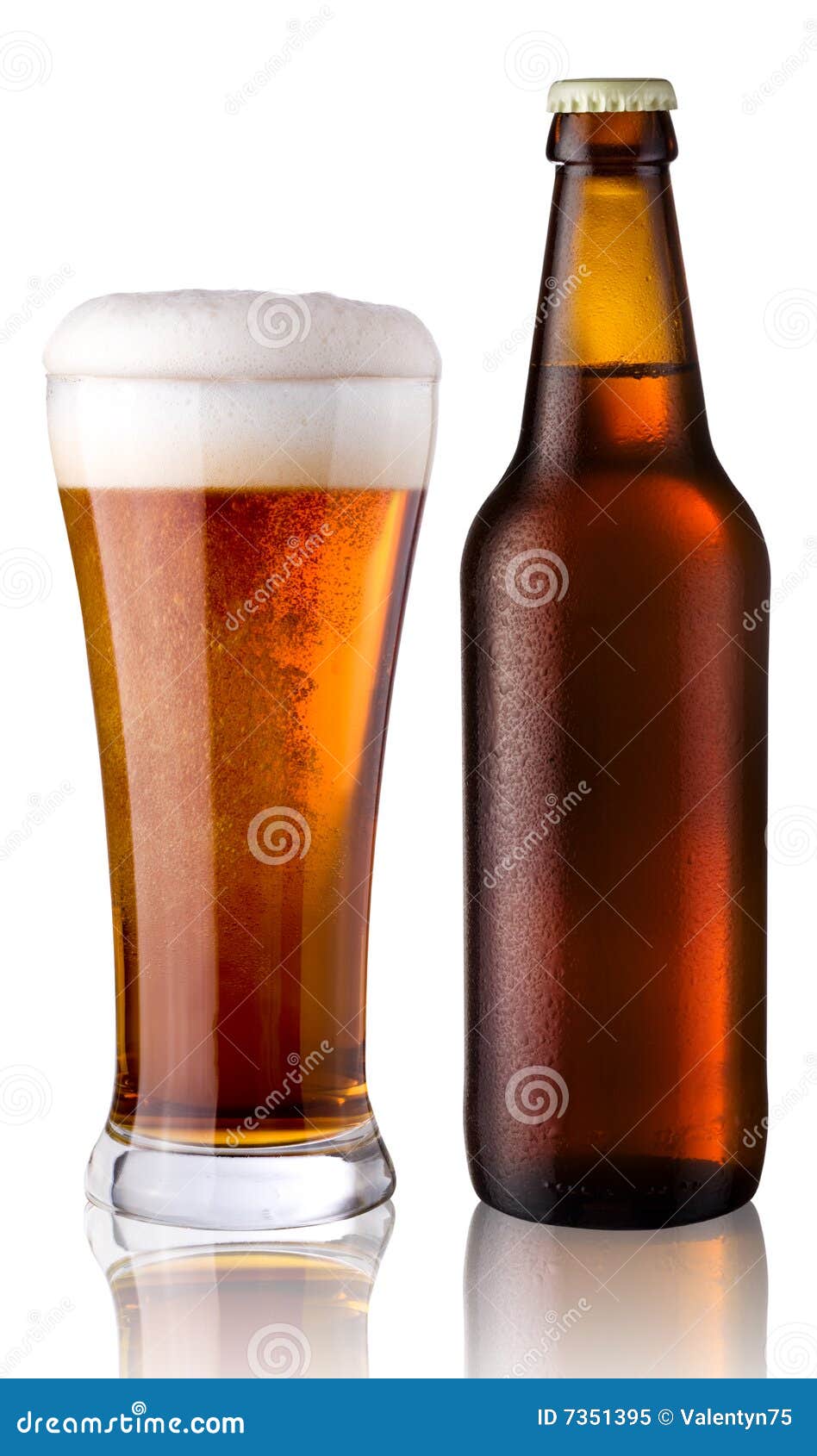 Glass and bottle of beer stock image. Image of bright 7351395