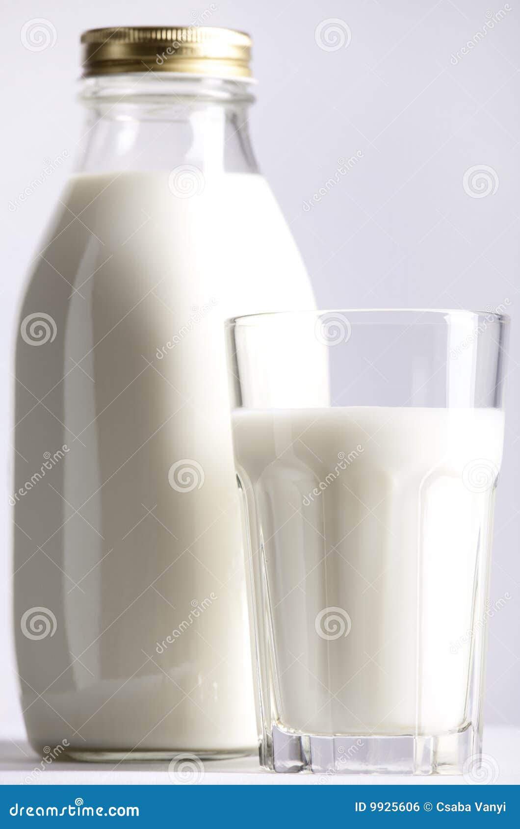 Glass and Bottle of Fresh Milk Stock Photo Image of nutrient, dairy