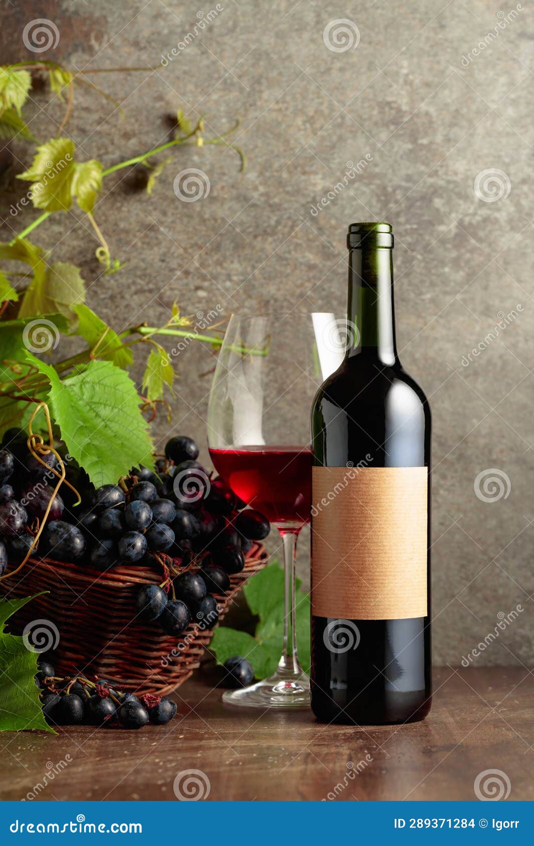 Glass and Bottle of Red Wine with Blue Grapes and Vine Branches Stock