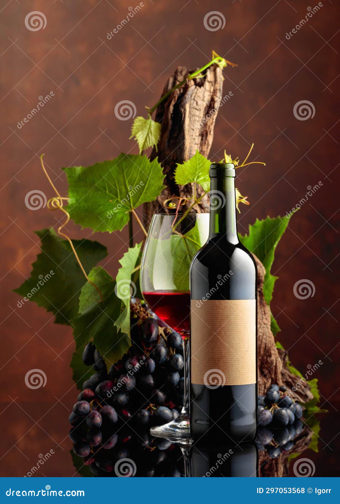 Glass and Bottle of Red Wine with Blue Grapes and Vine Branches Stock
