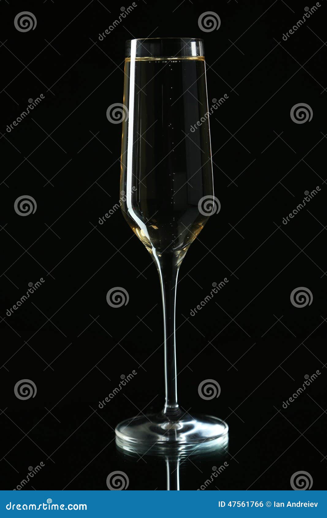 Glass of Champagne on a Black Stock Photo Image of anniversary, booze