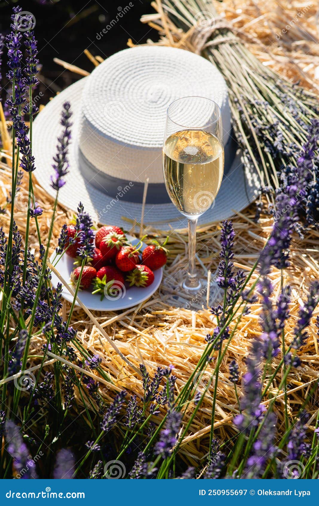 A Glass of Champagne on a Bale of Hay among Lavender Stock Image