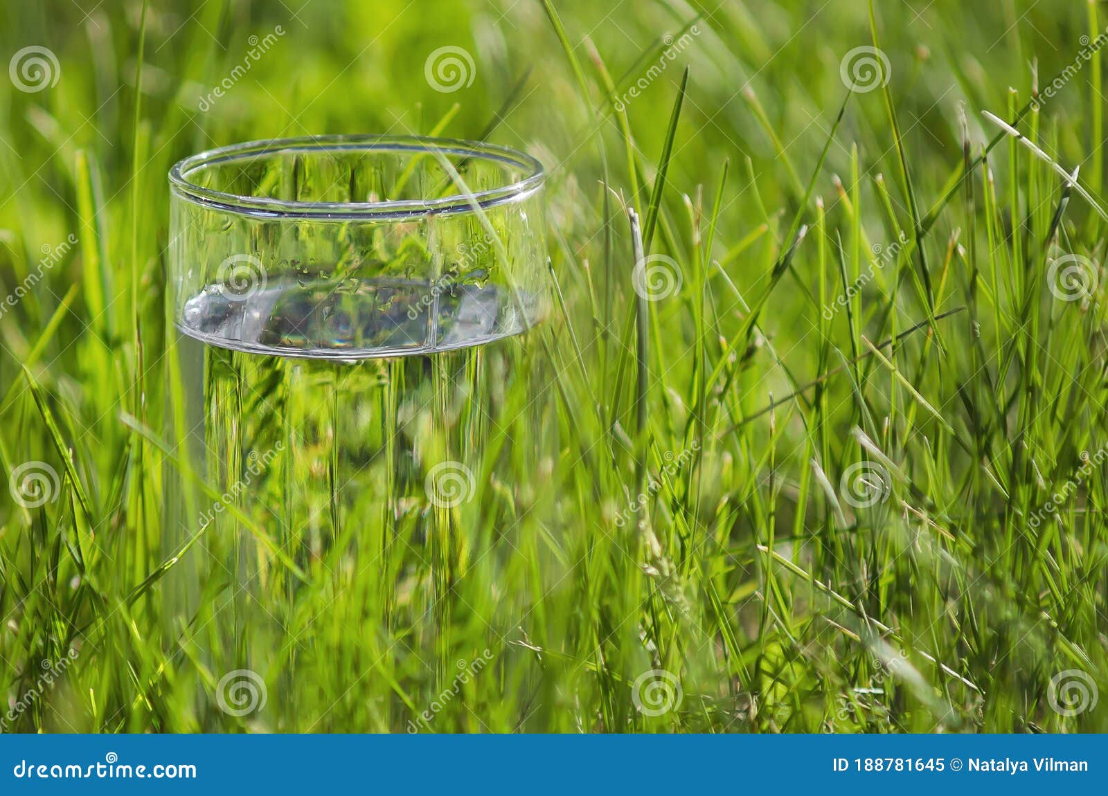 Glass And A Cup With Transparent Cool Clean Water On A Green Garden  Background Clean Water Health Food Industry Health Ecology Environmental  Protection Thirst Quenching Stock Photo - Download Image Now - iStock