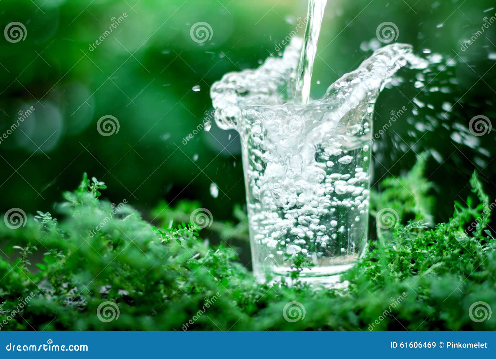 A Glass of Cool Fresh Water on Natural Green Background Stock Image Image of flow, drop 61606469