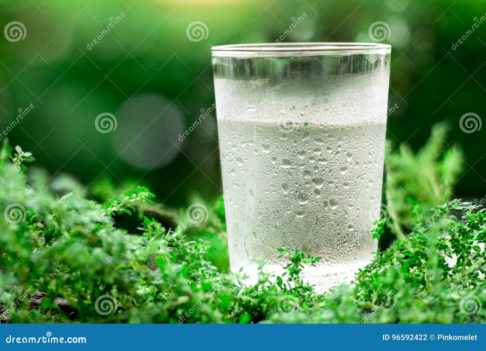 A Glass Of Cool Fresh Water On Natural Green Background
