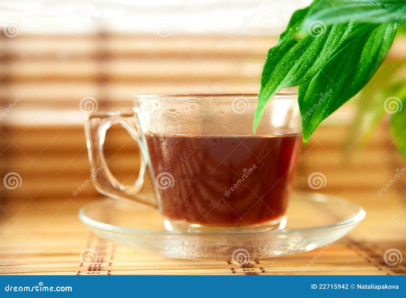Glass cup of herbal tea stock photo. Image of fragrance 22715942