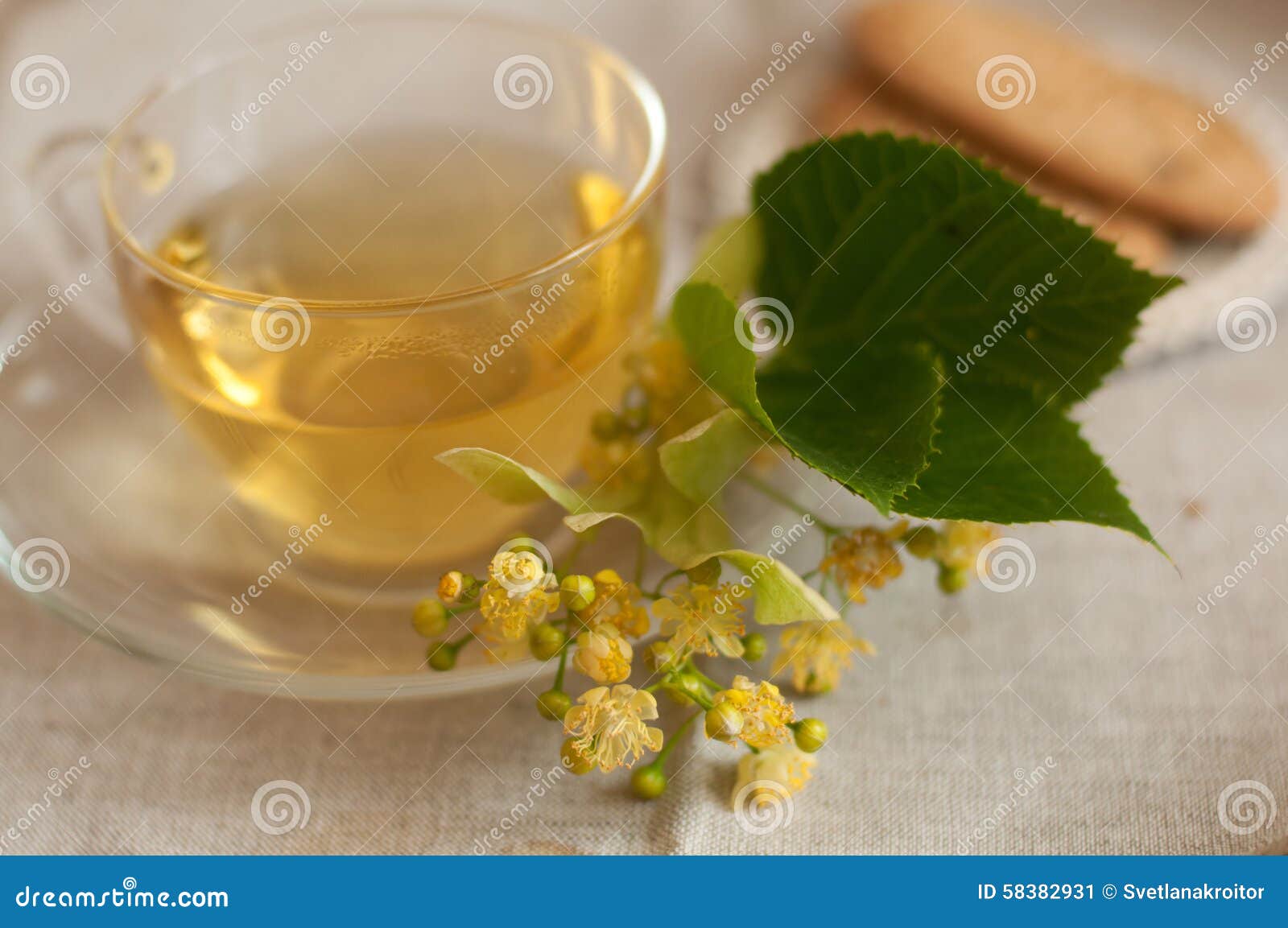 A Glass Cup of Lime Flower Tea and Biscuits on a Linen Surface Stock