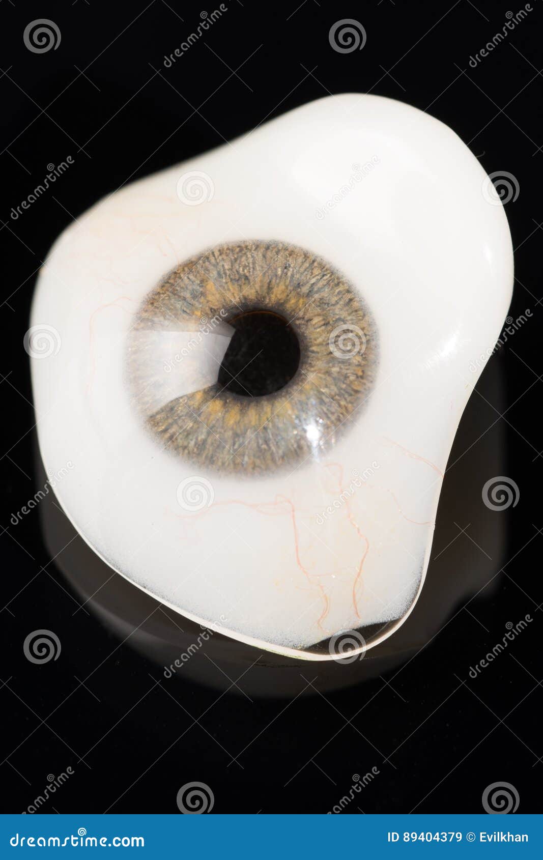 Glass Eye Prosthetic or Ocular Prosthesis on Black Stock Image Image of reflection, blue 89404379