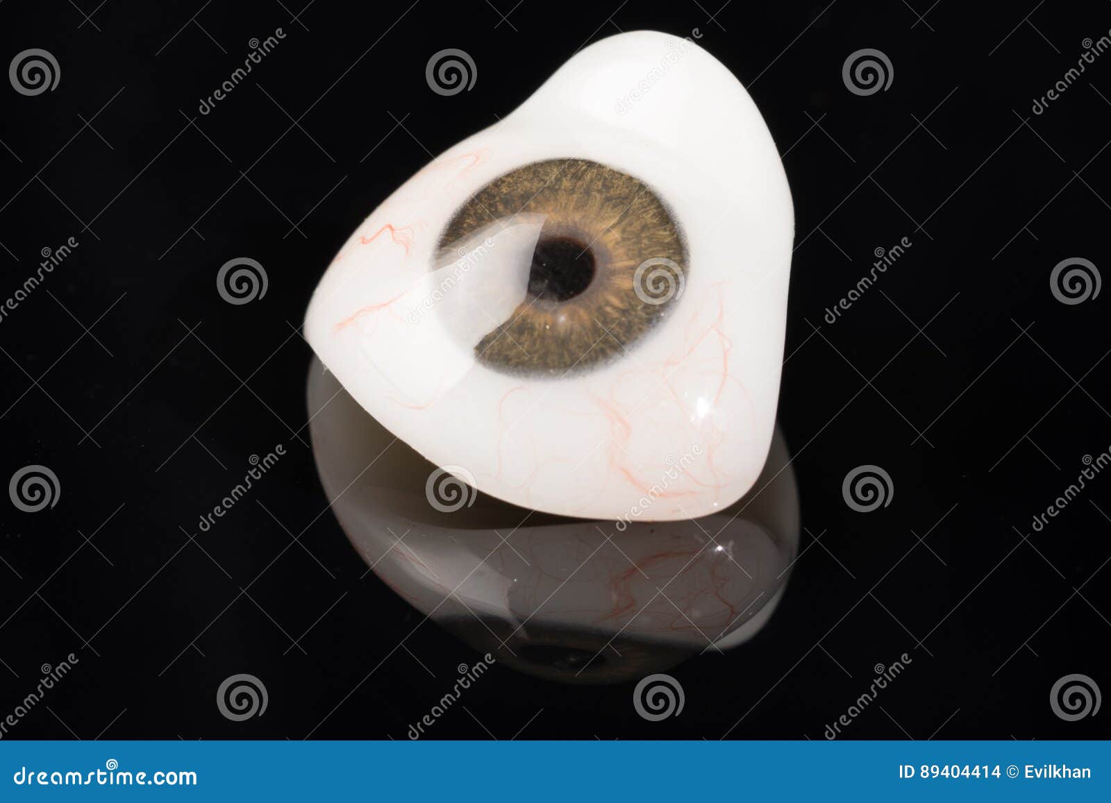 Glass Eye Prosthetic or Ocular Prosthesis on Black Stock Photo Image