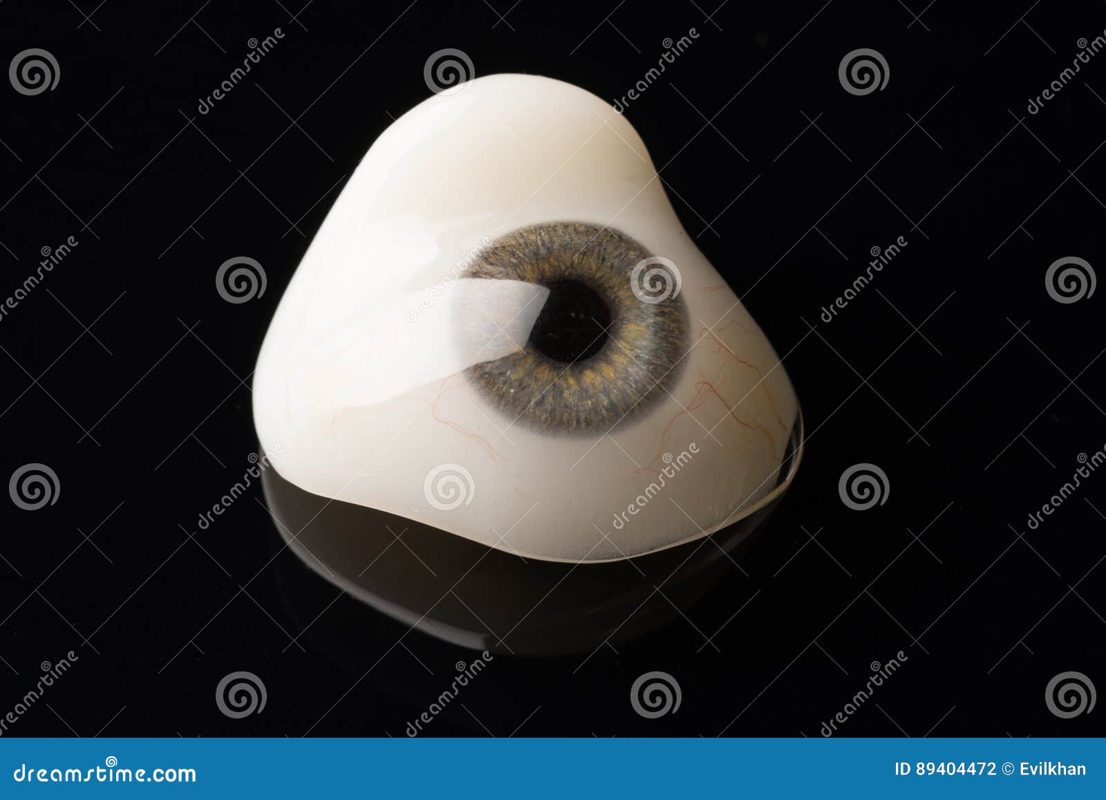 Glass Eye Prosthetic or Ocular Prosthesis on Black Stock Photo Image