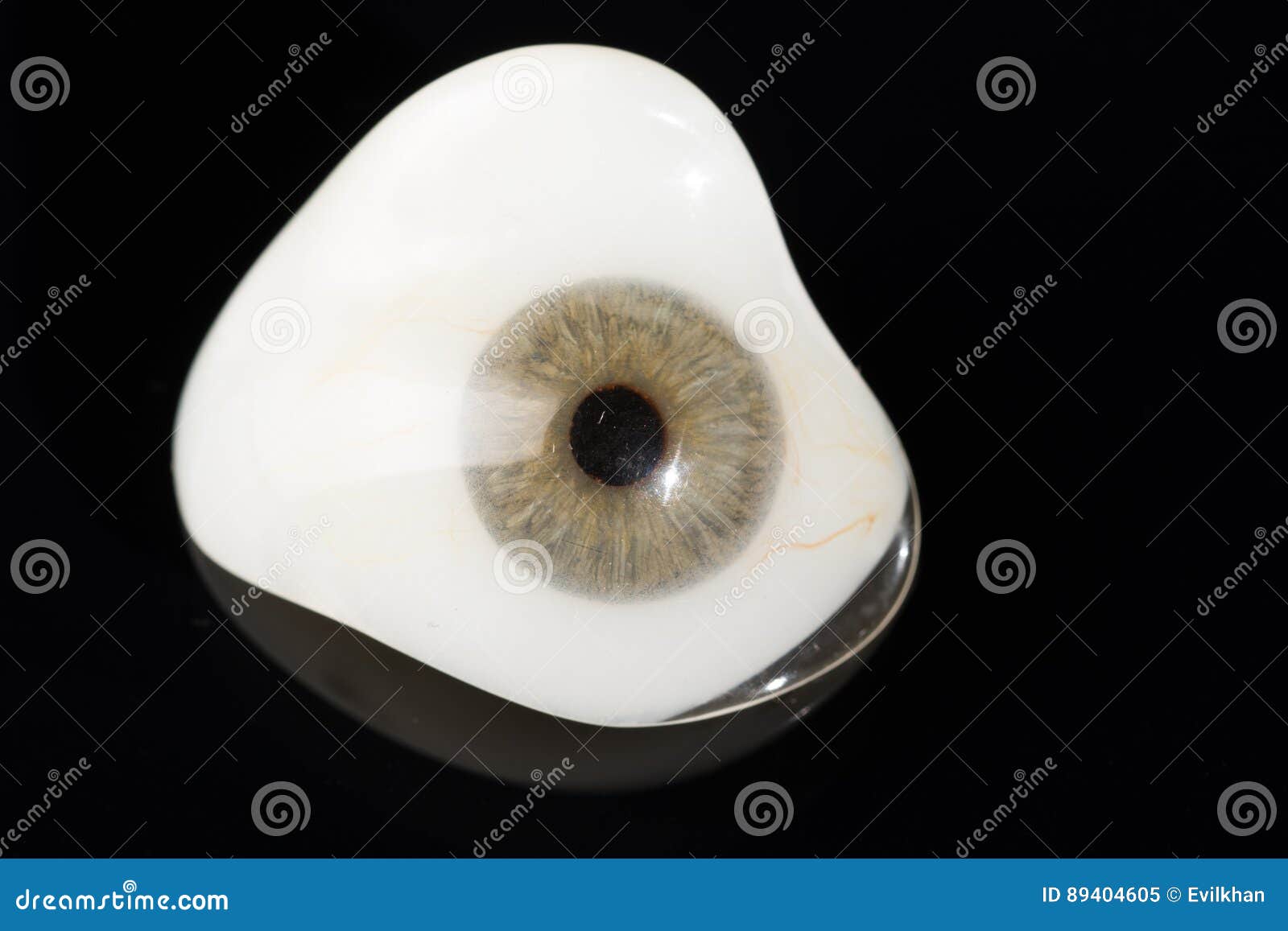 Glass Eye Prosthetic or Ocular Prosthesis on Black Stock Image Image