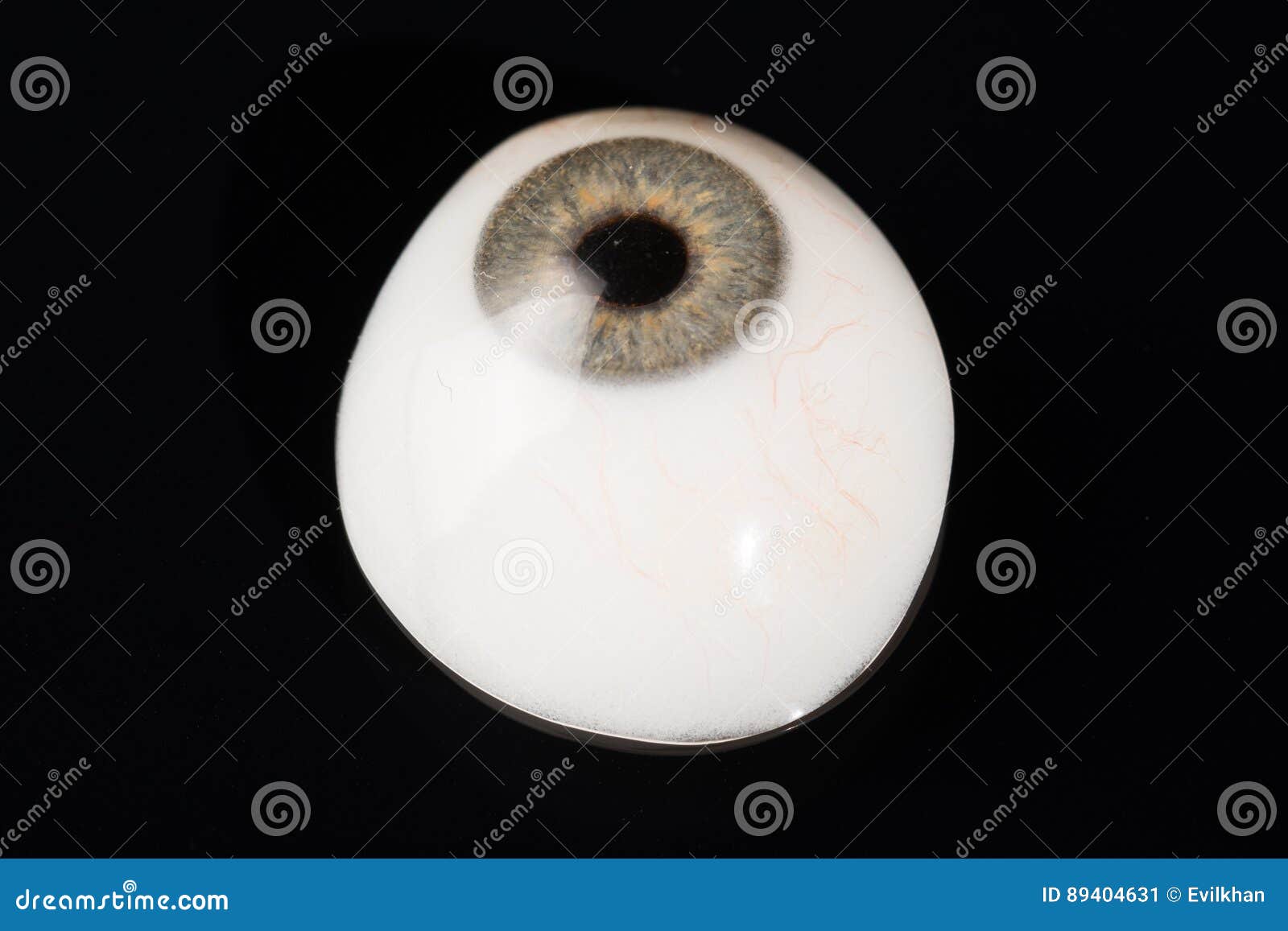 Glass Eye Prosthetic Or Ocular Prosthesis On Black RoyaltyFree Stock