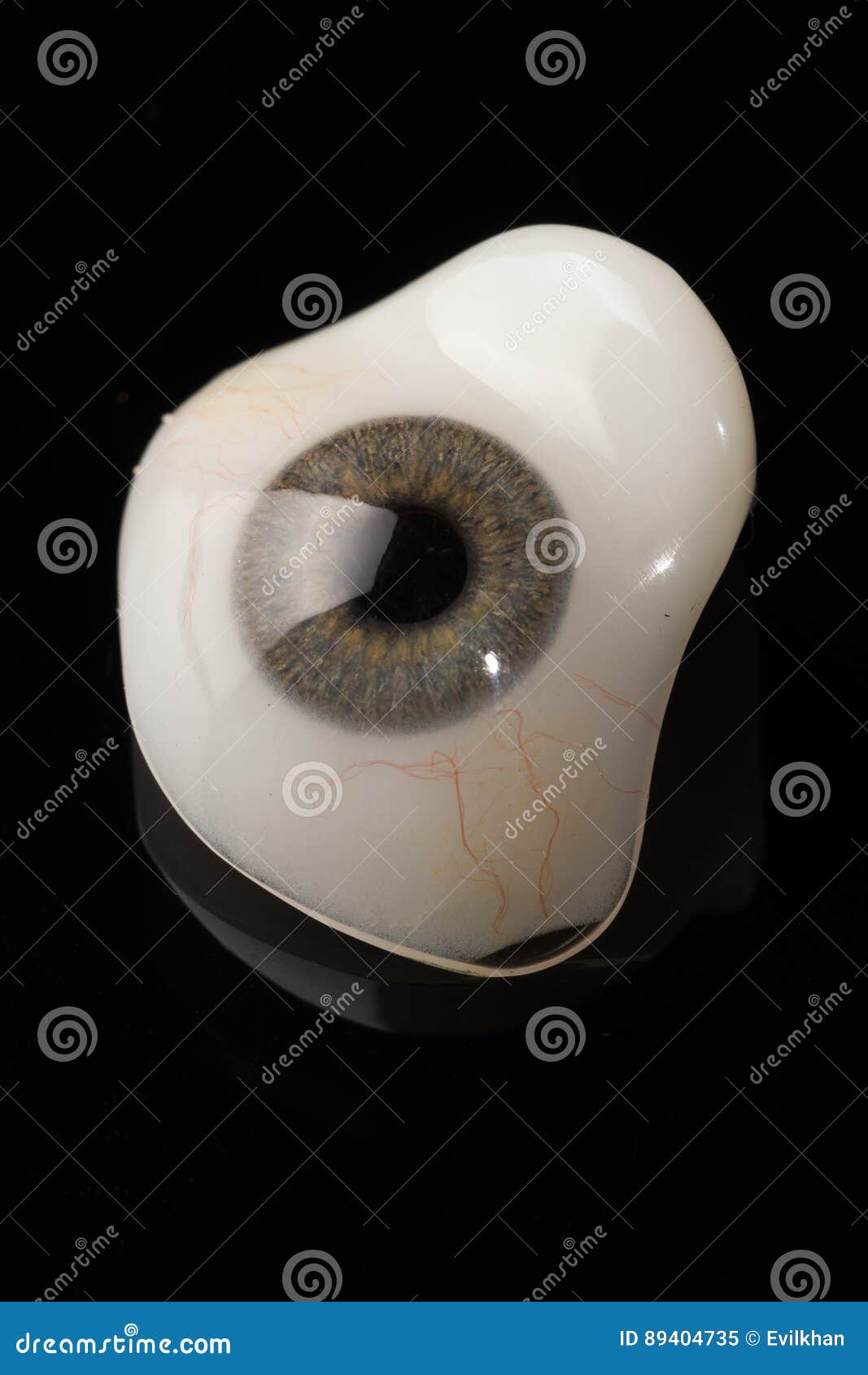 Glass Eye Prosthetic or Ocular Prosthesis on Black Stock Image Image