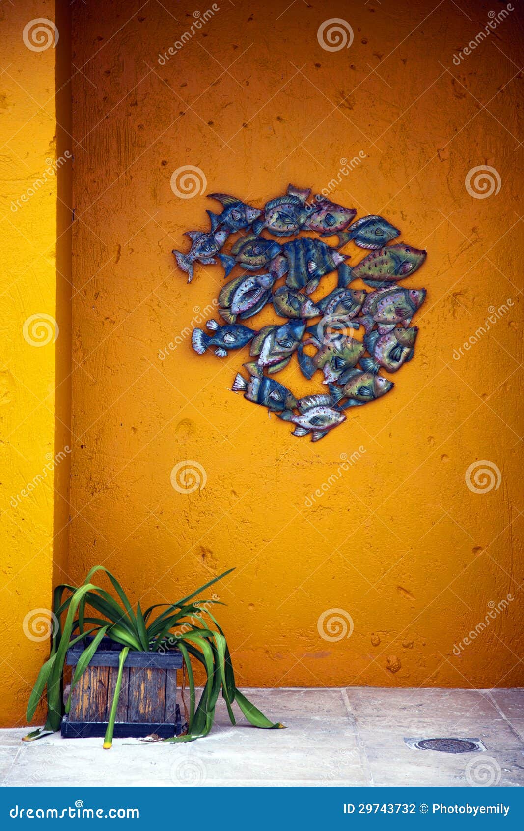 Glass Fish on Tropical House Stock Photo Image of colorful, concept
