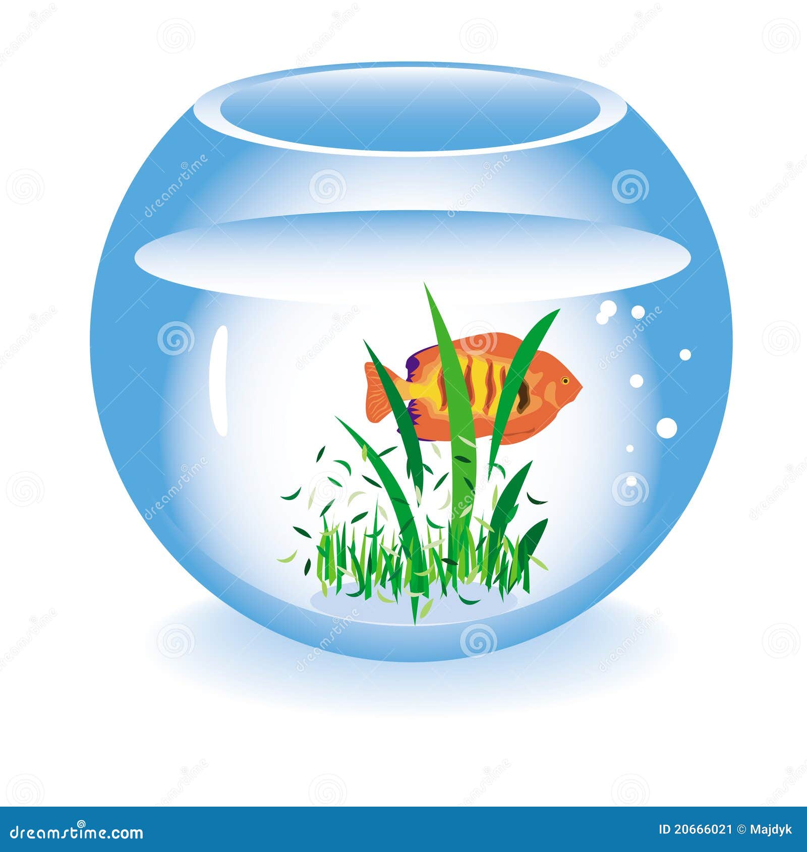 Glass fishbowl with a fish stock vector. Illustration of fish 20666021