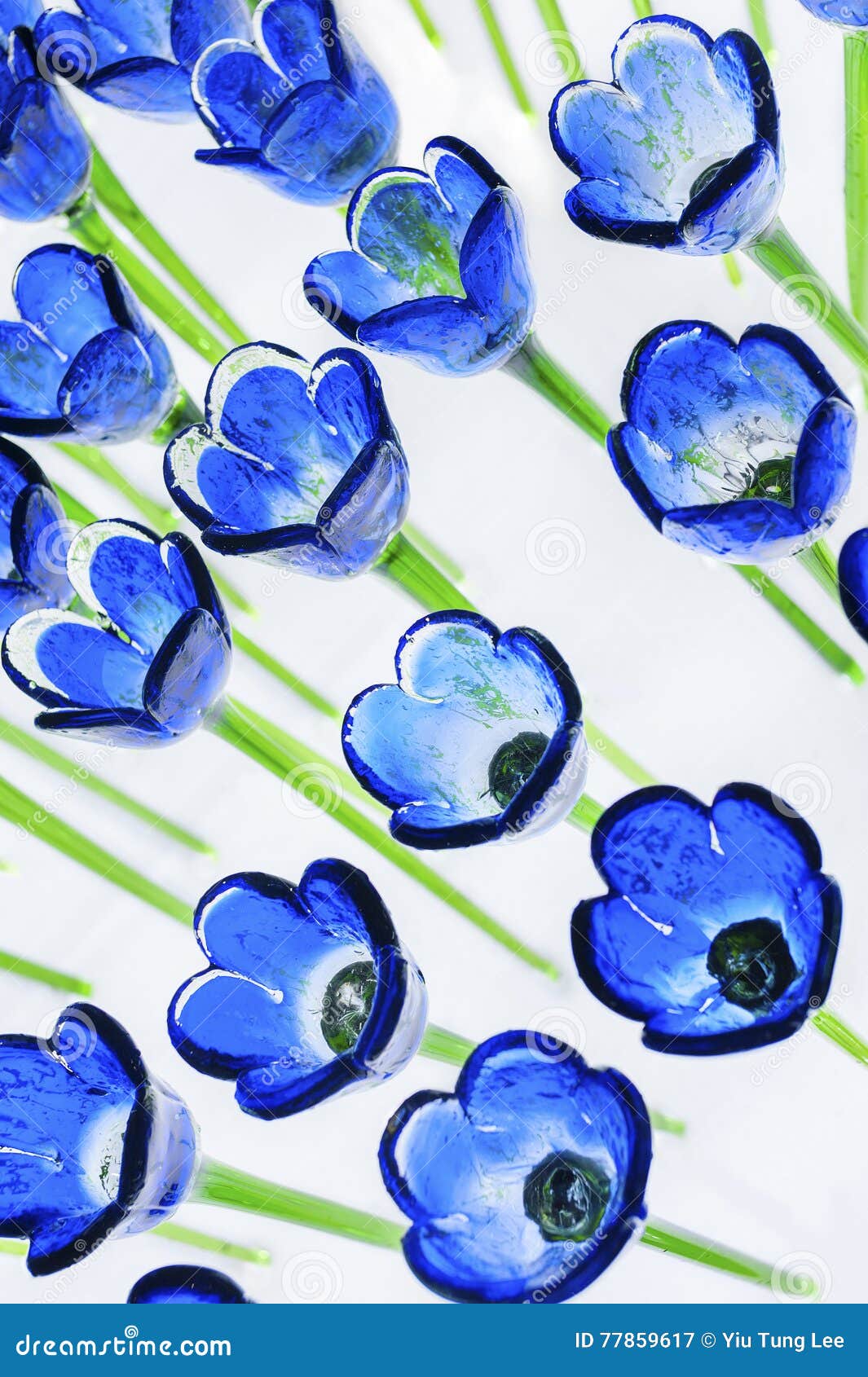 Glass Flower Tulip stock image. Image of bright, light 77859617