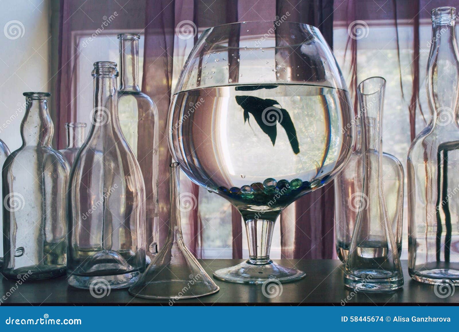 Glass house stock photo. Image of fishtank, aquarium 58445674