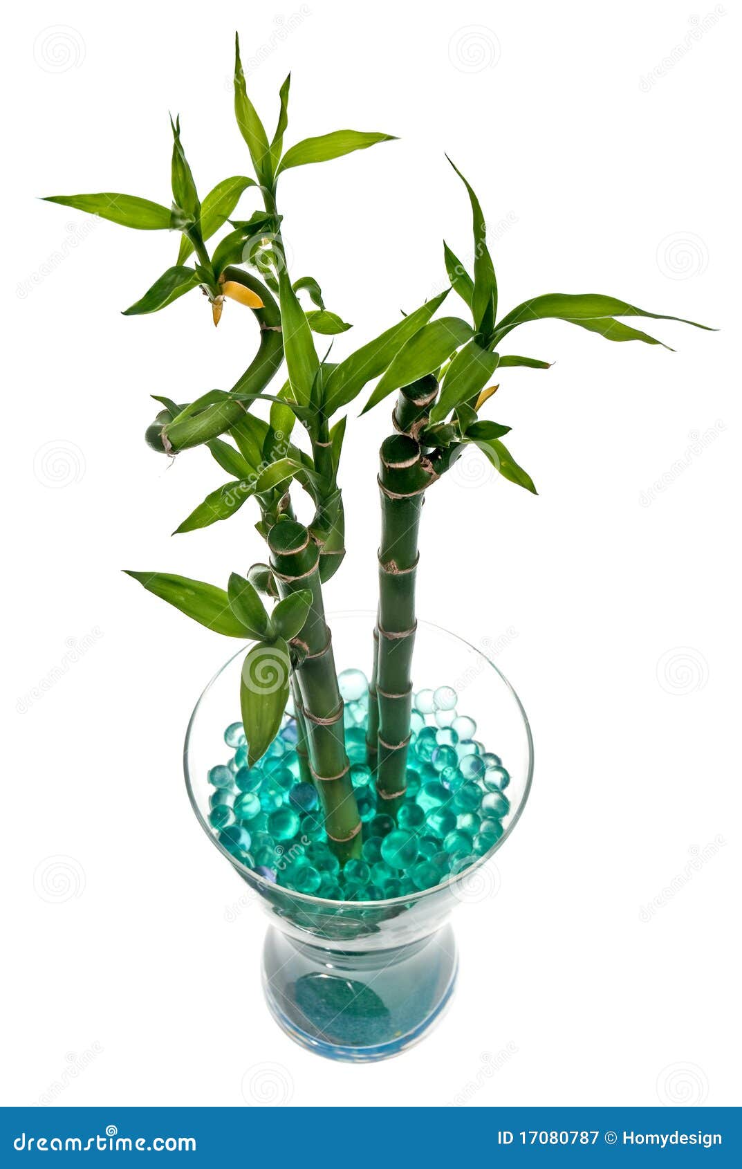 Glass jar with bamboo stock image. Image of studio, leaf 17080787