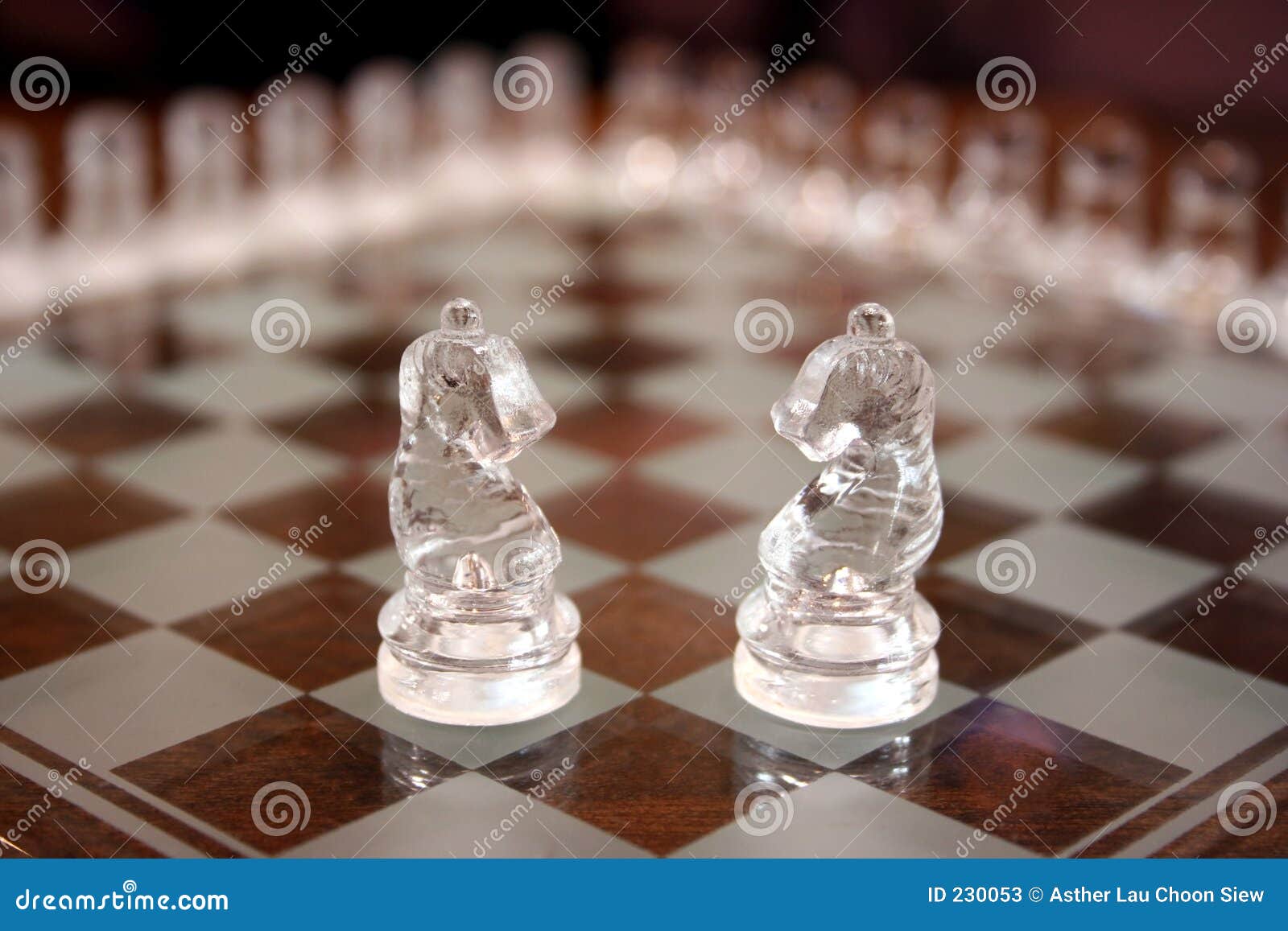 Glass knight chess pieces stock image. Image of horse, confront 230053