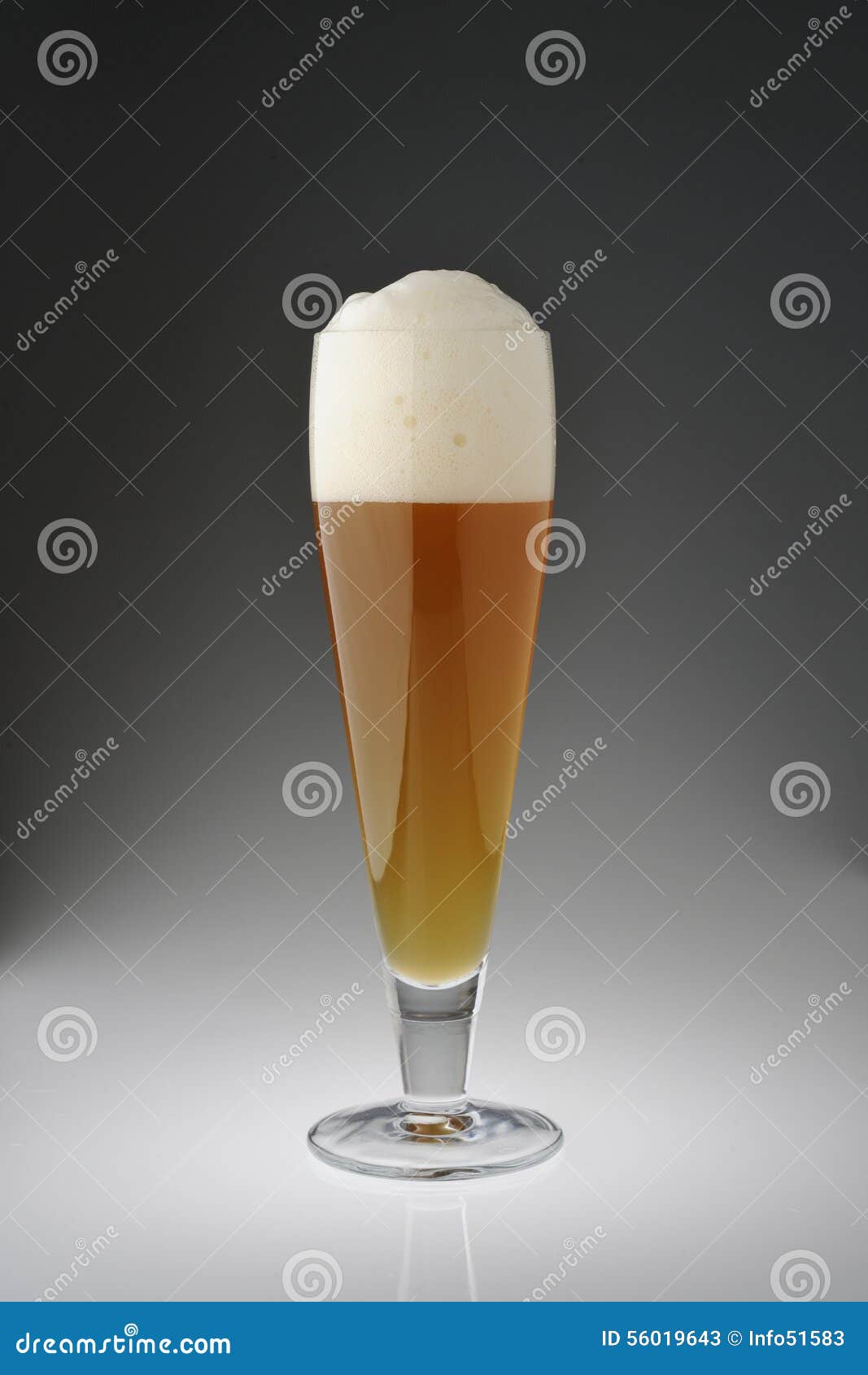 Glass of lager stock image. Image of toast, glass, blonde 56019643