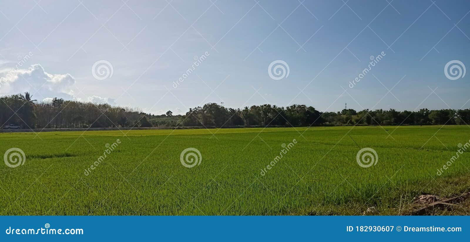 Glass land stock image. Image of field, plain, hill 182930607