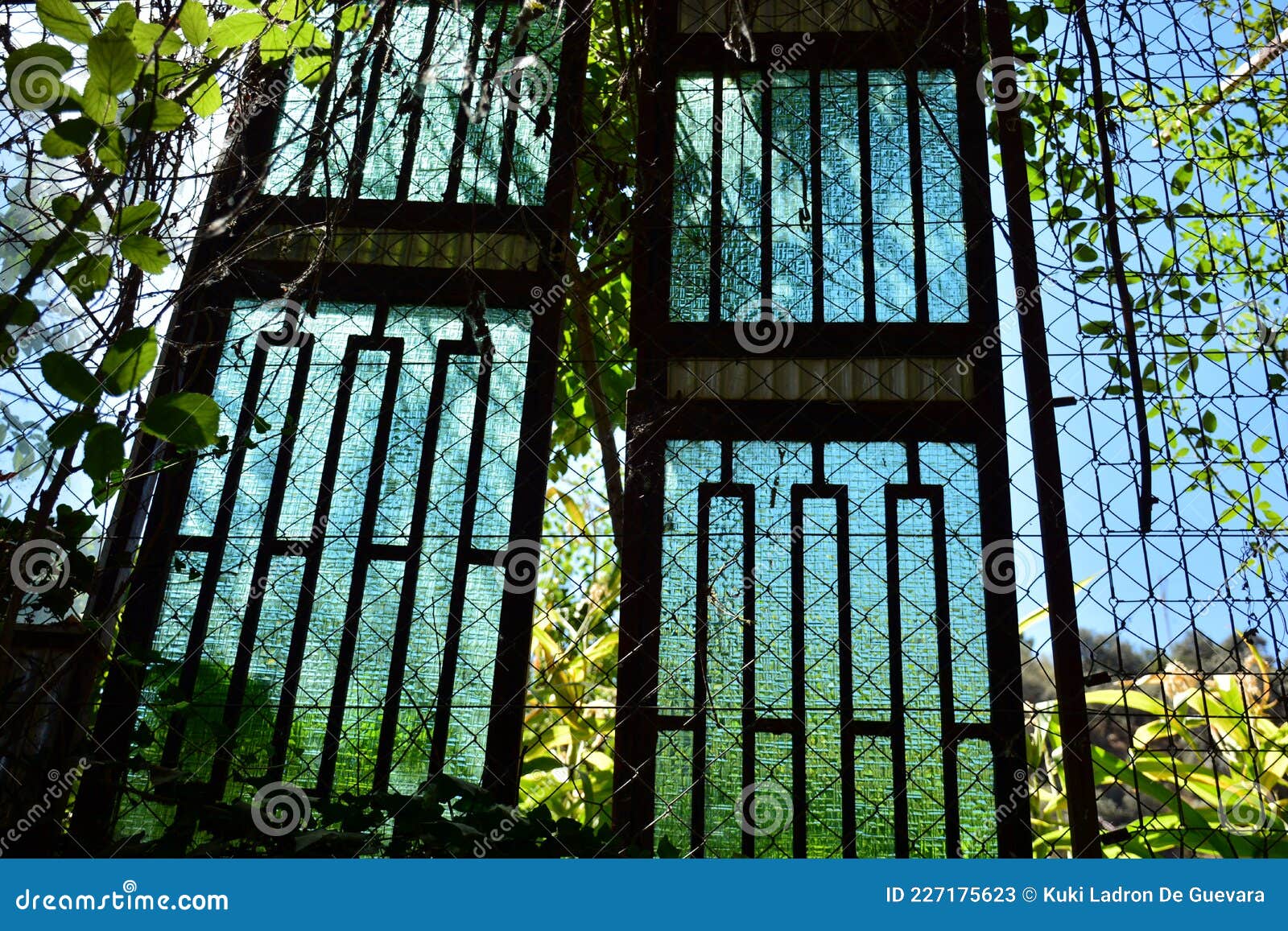 gateway to the field