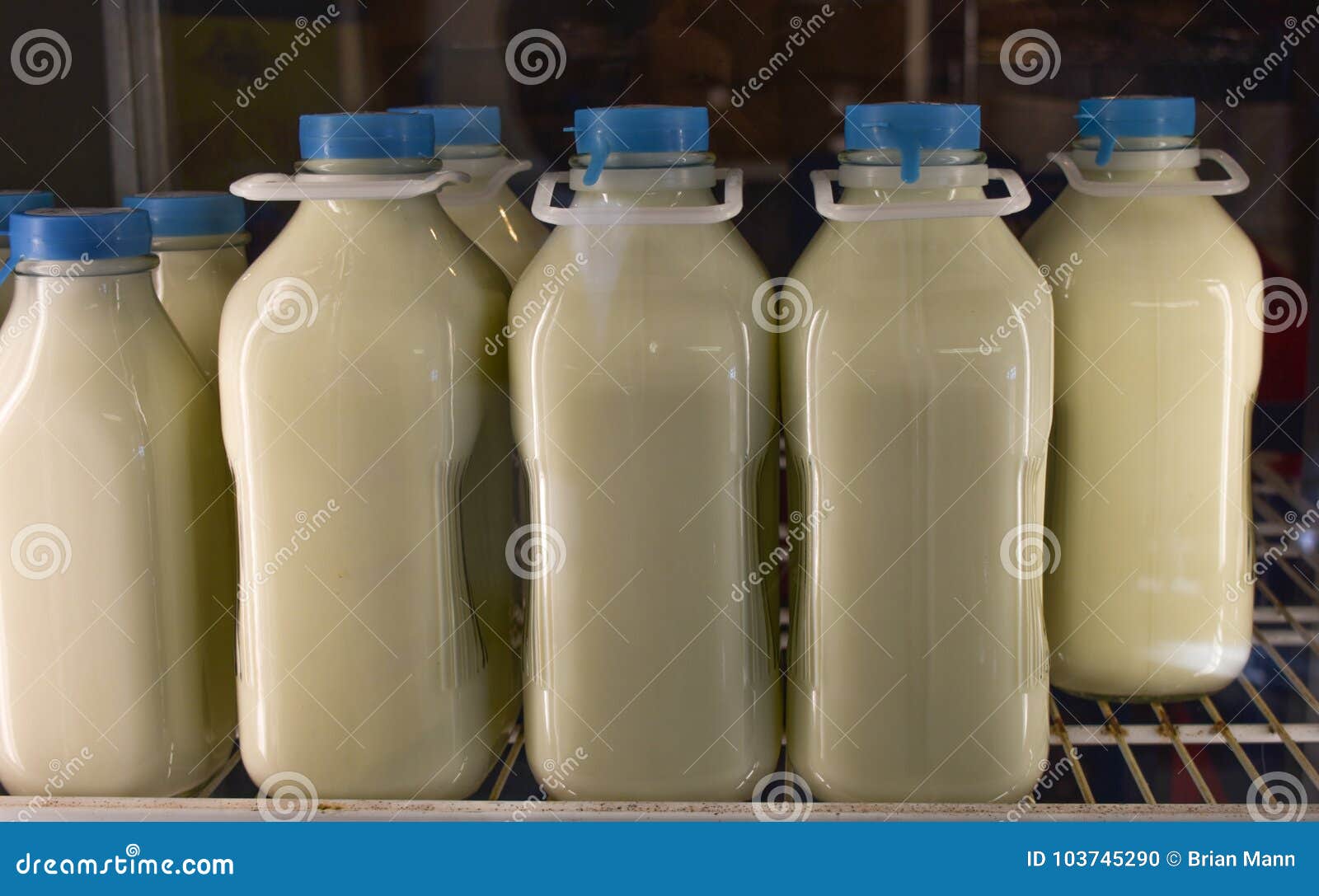 Half Gallon Glass Milk Bottles