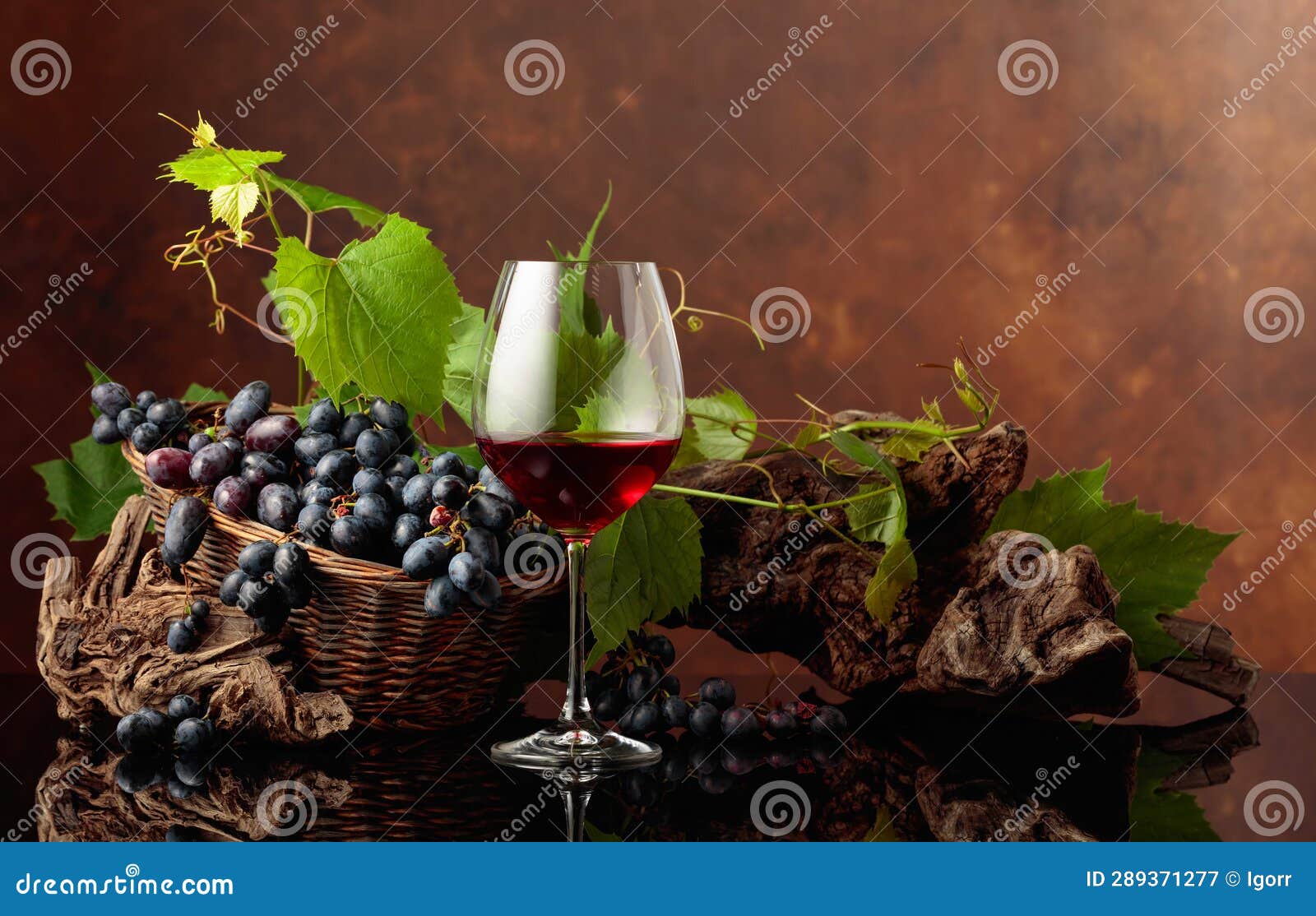 Glass of Red Wine with Blue Grapes and Vine Branches Stock Image Image of winery, grape 289371277