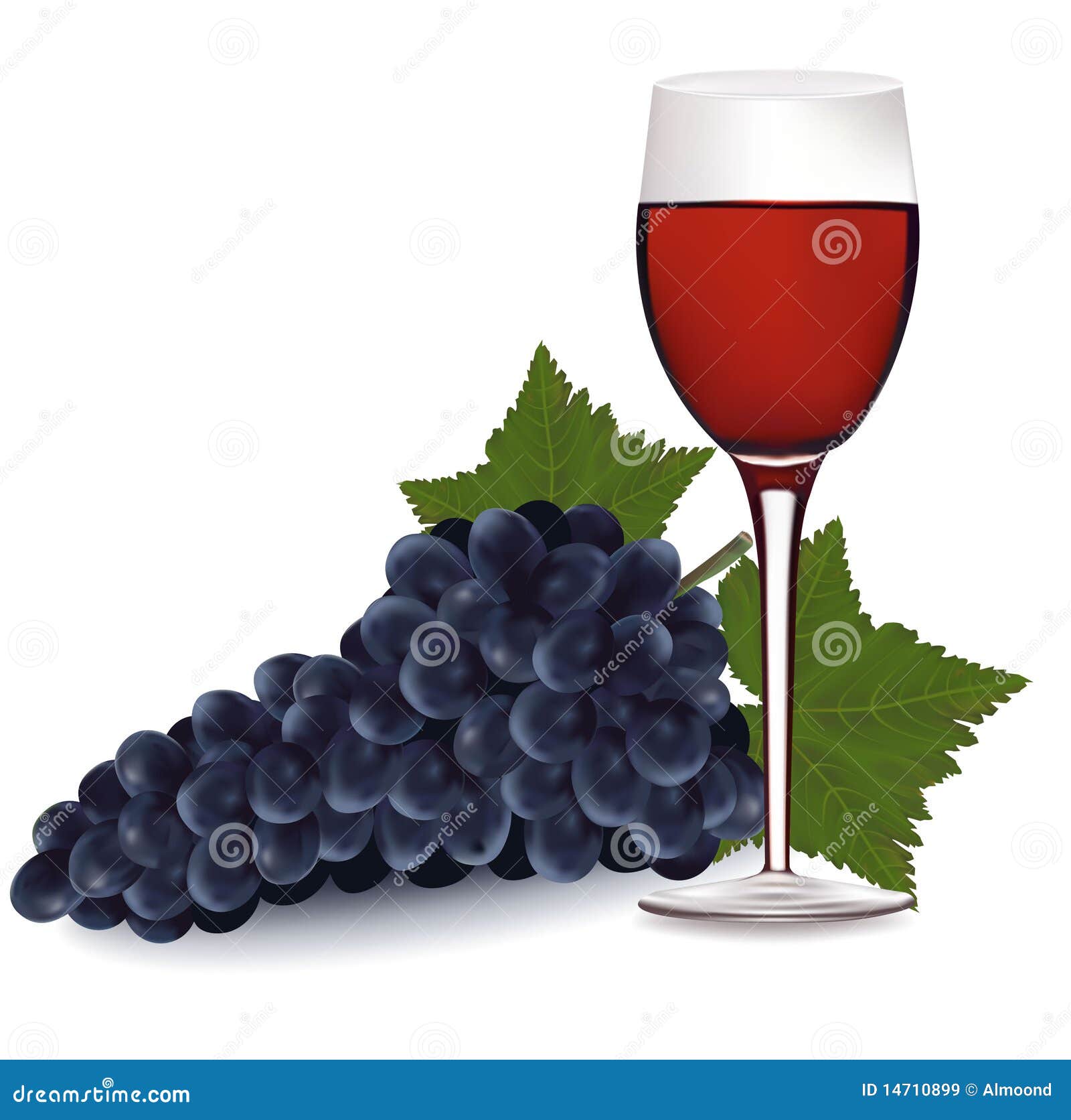 Glass of Red Wine and a Grapes. Stock Vector - Illustration of alcohol ...