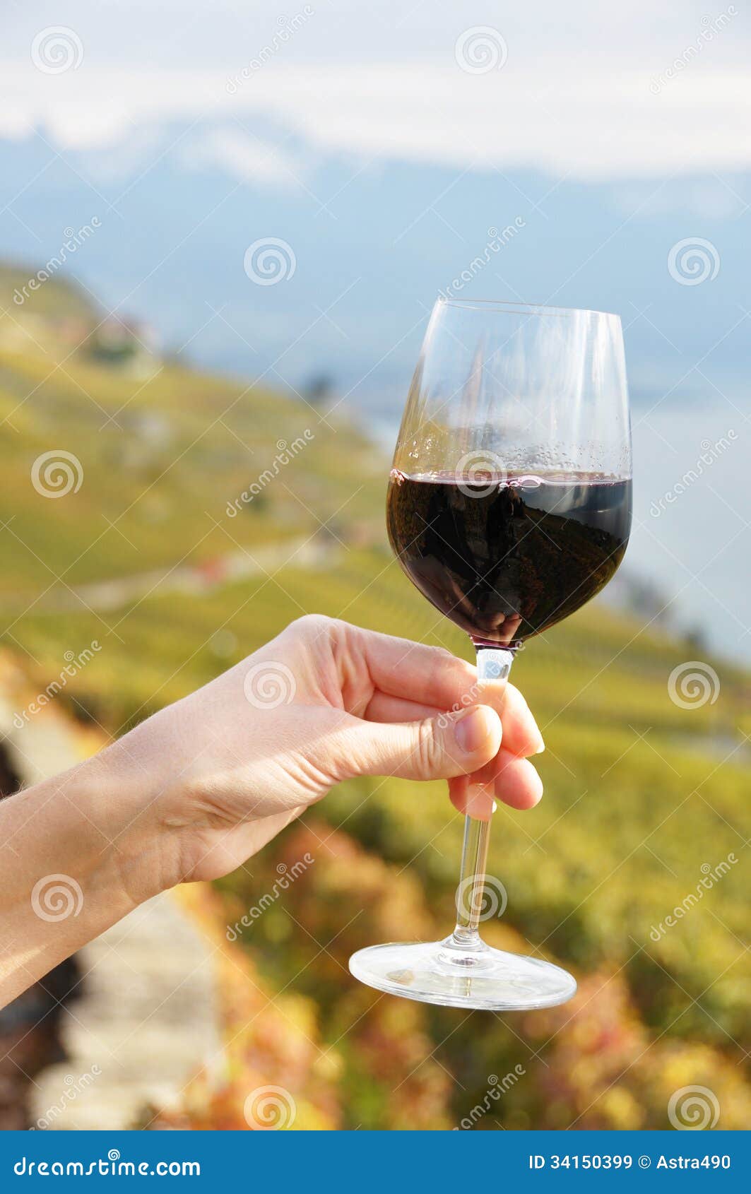 Glass of red wine in the hand against vineyards in Lavaux region, Switzerland