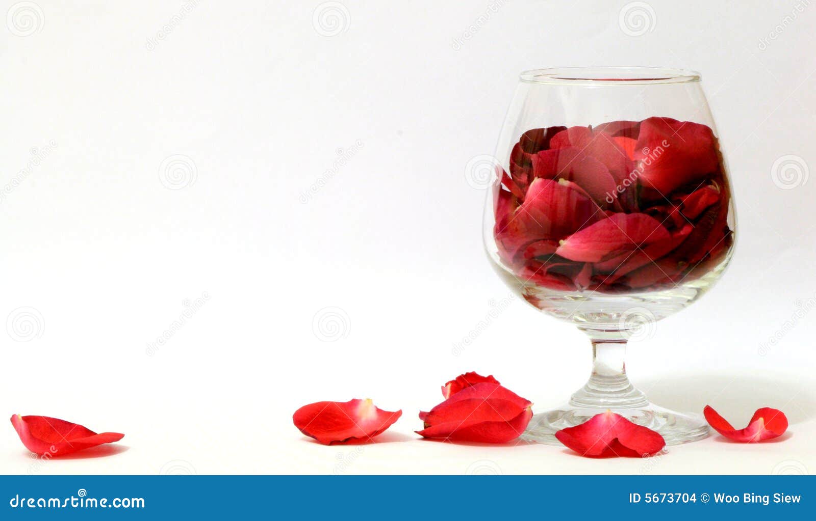 A glass of Rose petals stock photo. Image of pure, peace 5673704