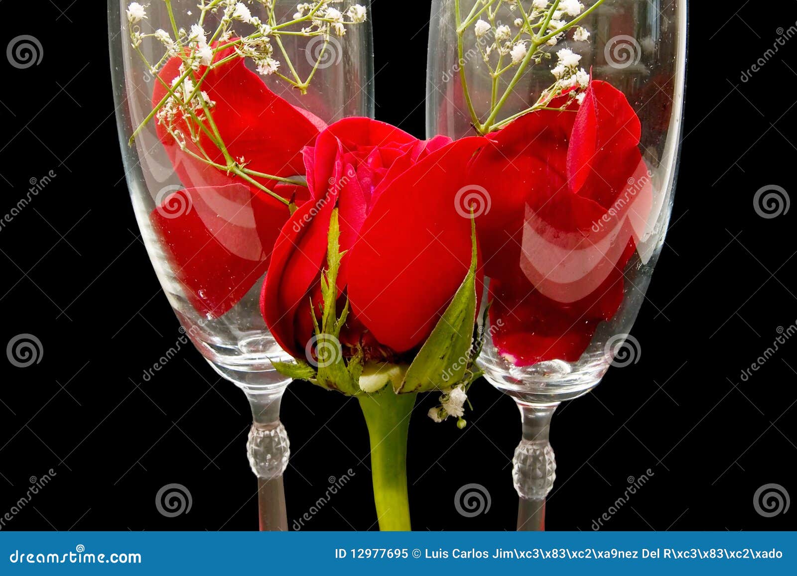 Glass roses stock image. Image of love, bloom, roses 12977695