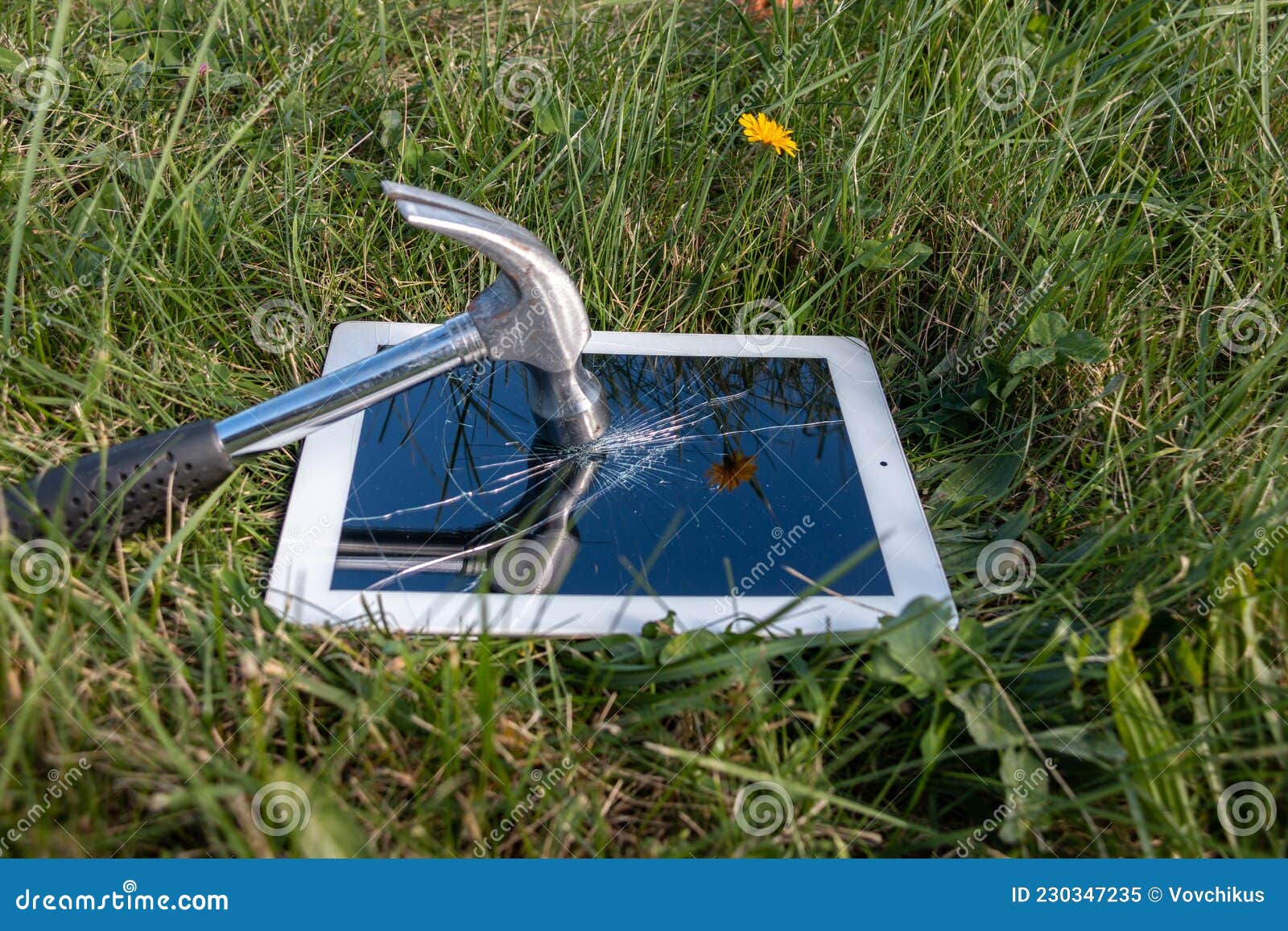 106 Hammer Green Screen Stock Photos Free & RoyaltyFree Stock Photos