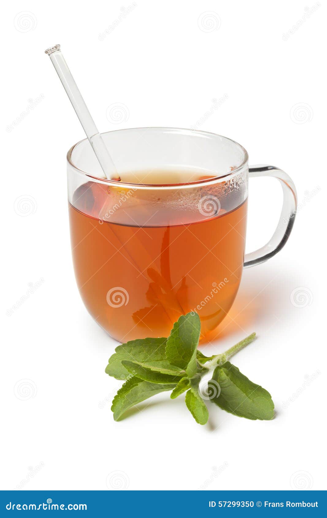 122 Glass Tea Fresh Stevia Leaves Stock Photos Free & RoyaltyFree