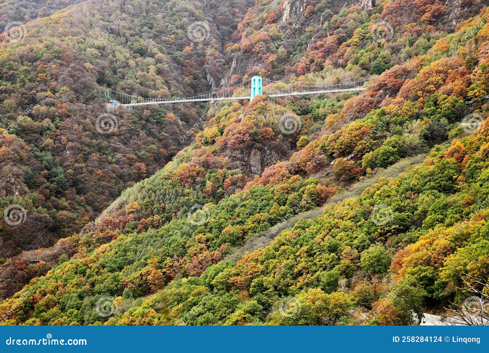 a glass trestle is located in the mountains with charming autumn scenery