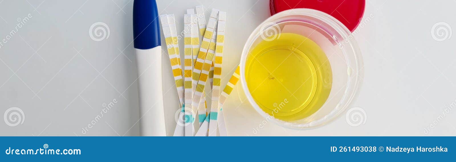 Glass of Urine and Pregnancy Test and Test Strips Stock Photo - Image of  container, clinical: 261493038