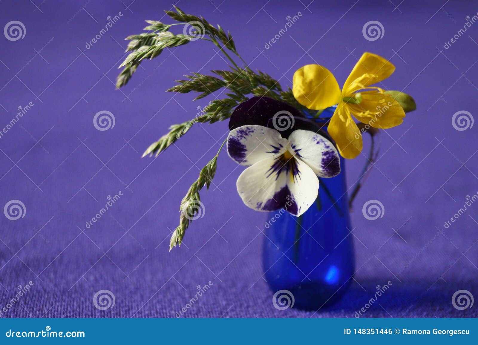 Glass vase and a flowers stock photo. Image of yellow - 148351446