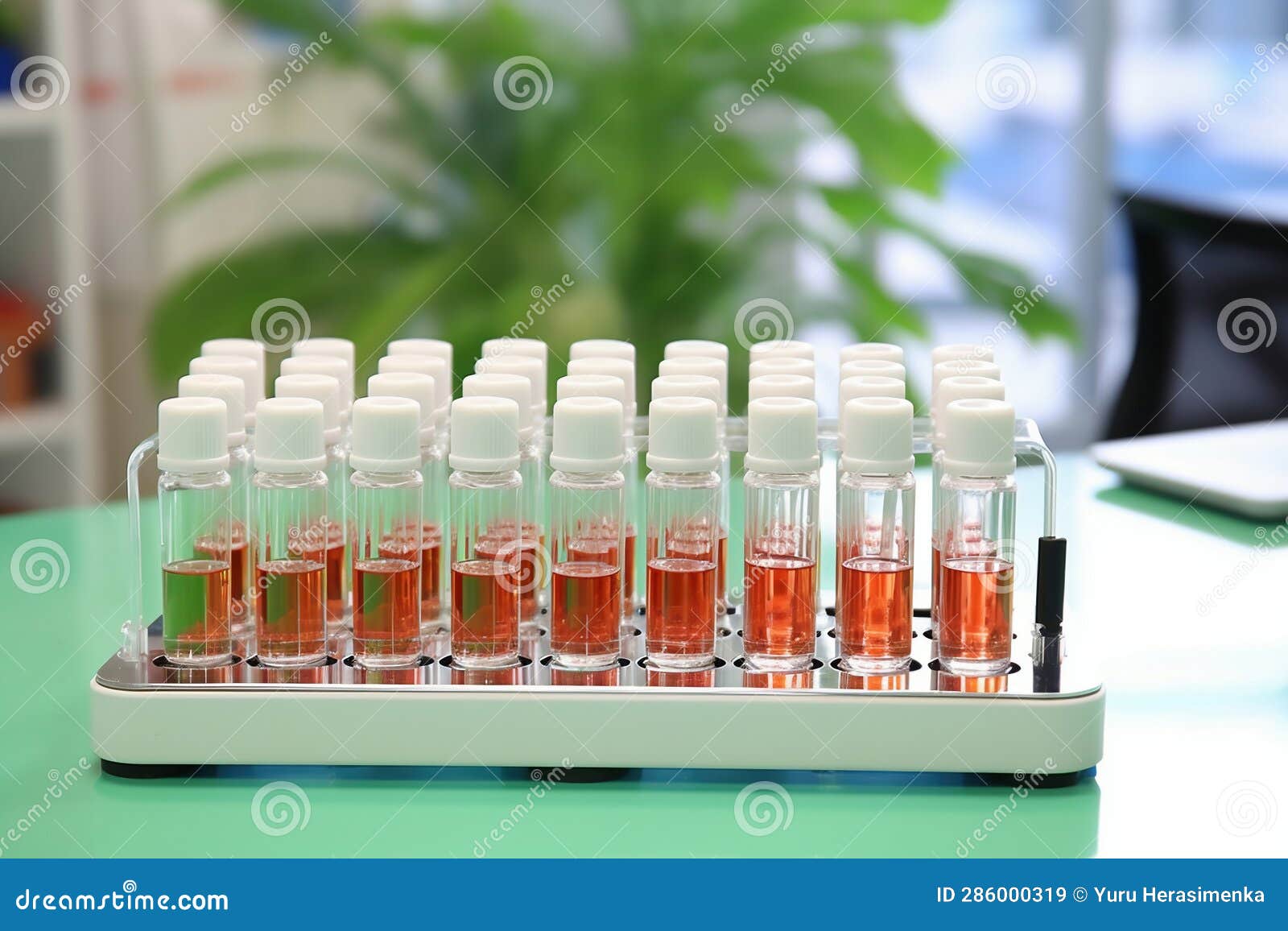 Glass Vials for Liquid Samples. Laboratory Equipment for Dispensing
