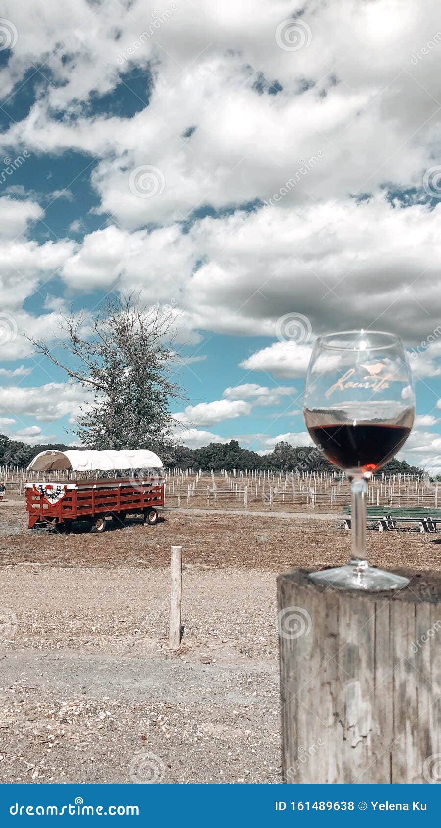 Glass of Wine and Cloudy Sky at Vineyard Stock Photo Image of glass