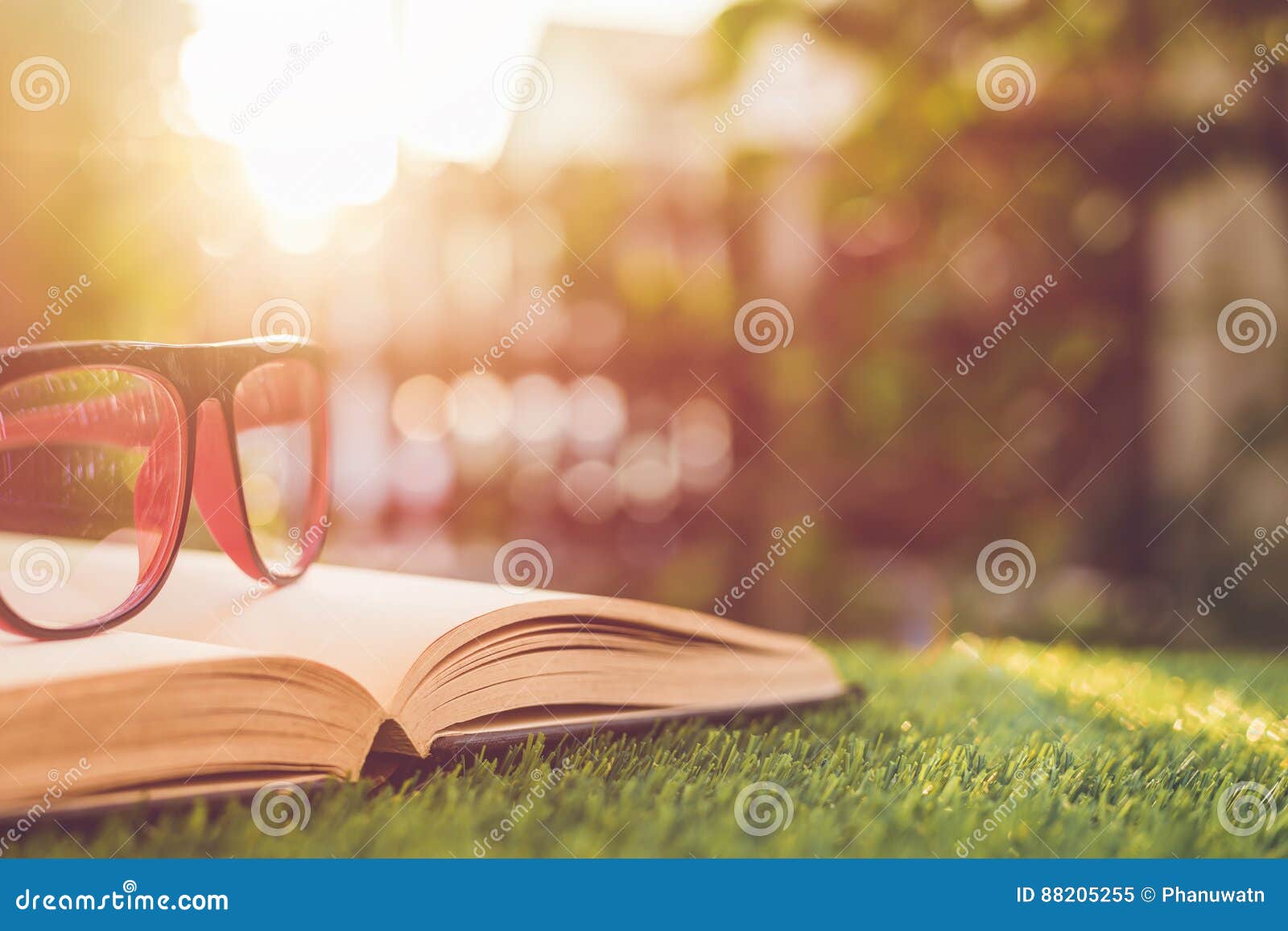 Glasses And Book On Green Grass With Blur And Bokeh In Sunrise T Stock 