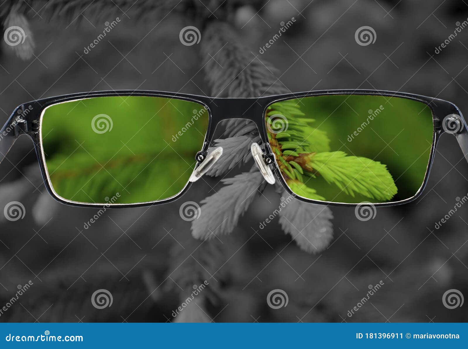 through glasses frame. colorful view of green fresh pine needles in glasses and monochrome background