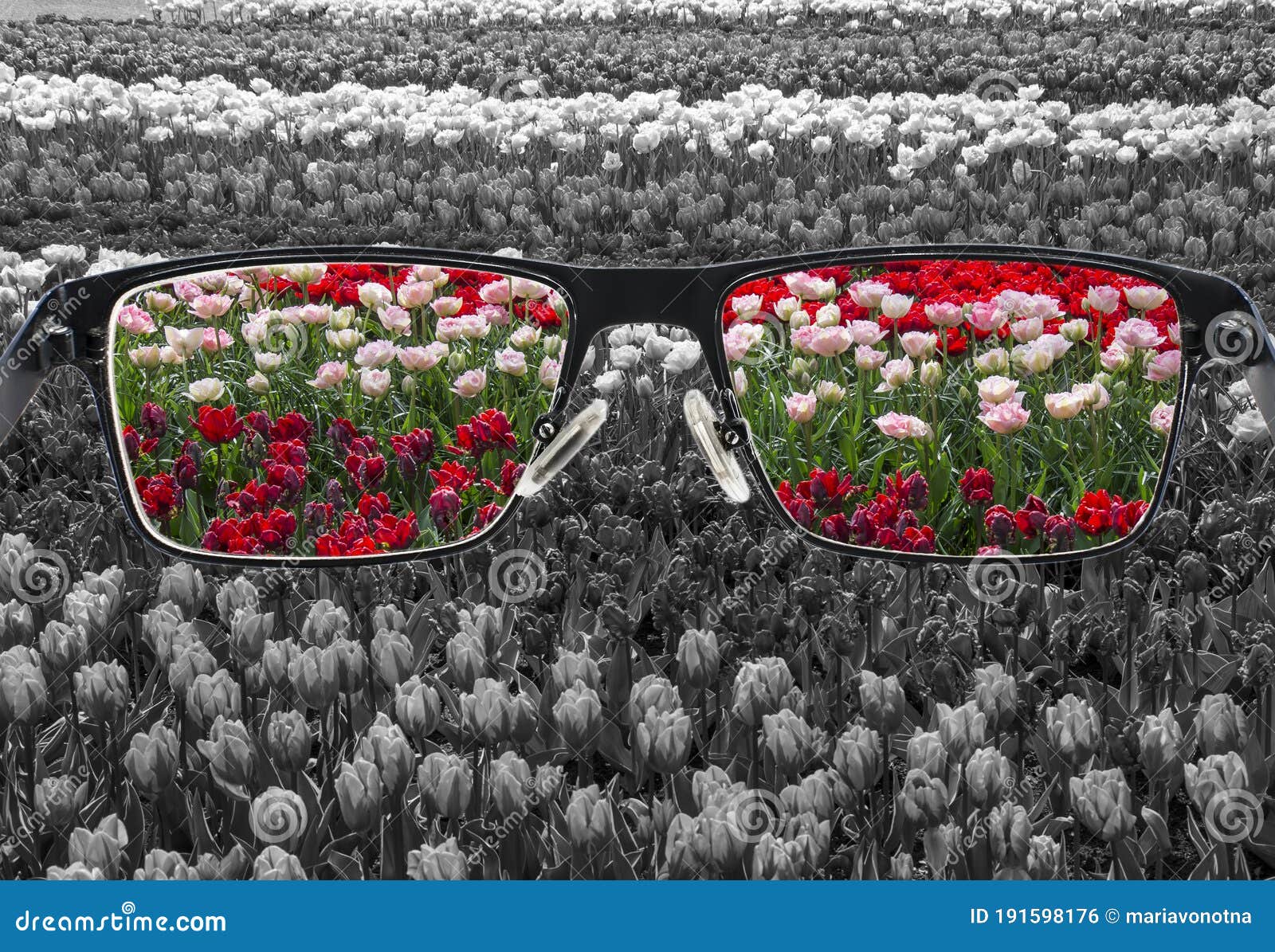 Through Glasses Frame. Colorful View of Colorful Tulips in Glasses and  Monochrome Background. Different World Perception Stock Photo - Image of  colorful, focus: 191598176