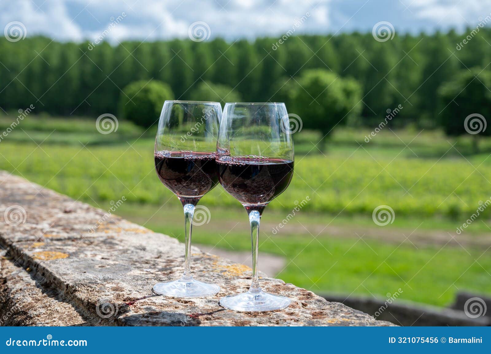 glasses of french dry red wine in old wine domain on graves vineyards in portets village and old castle on background, bordeaux,