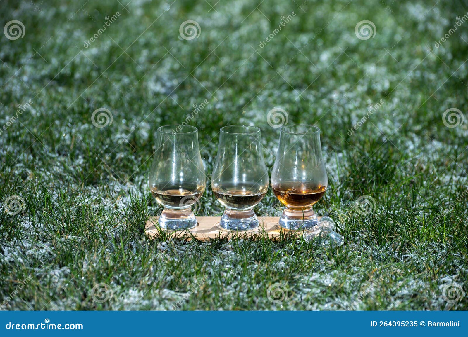 Glasses of ice cold Scotch single malt or blended whisky on white frosted green grass, cold winter in Scotland