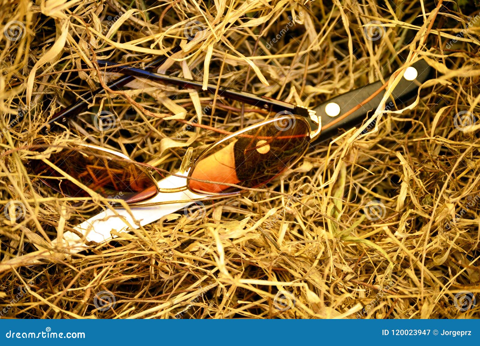 Glasses and Knife on Dry Grass Stock Image - Image of concept, homicide ...