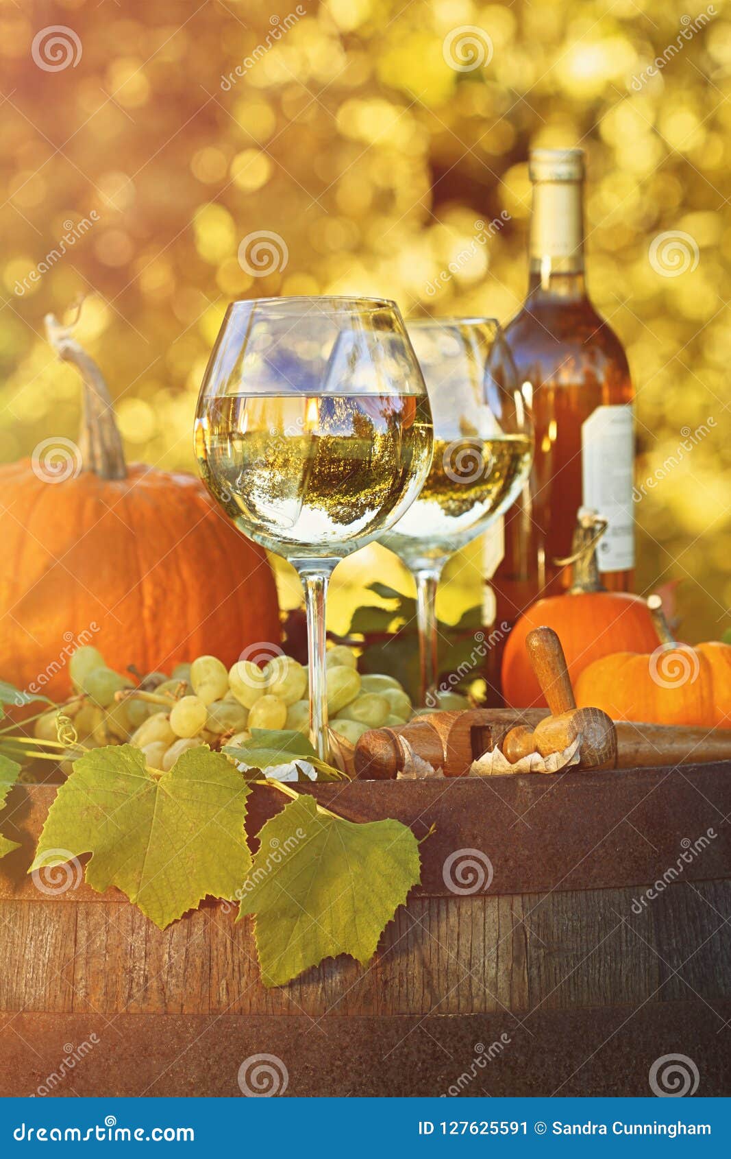 Glasses of White Wine with Pumpkins on Barrel Stock Image Image of