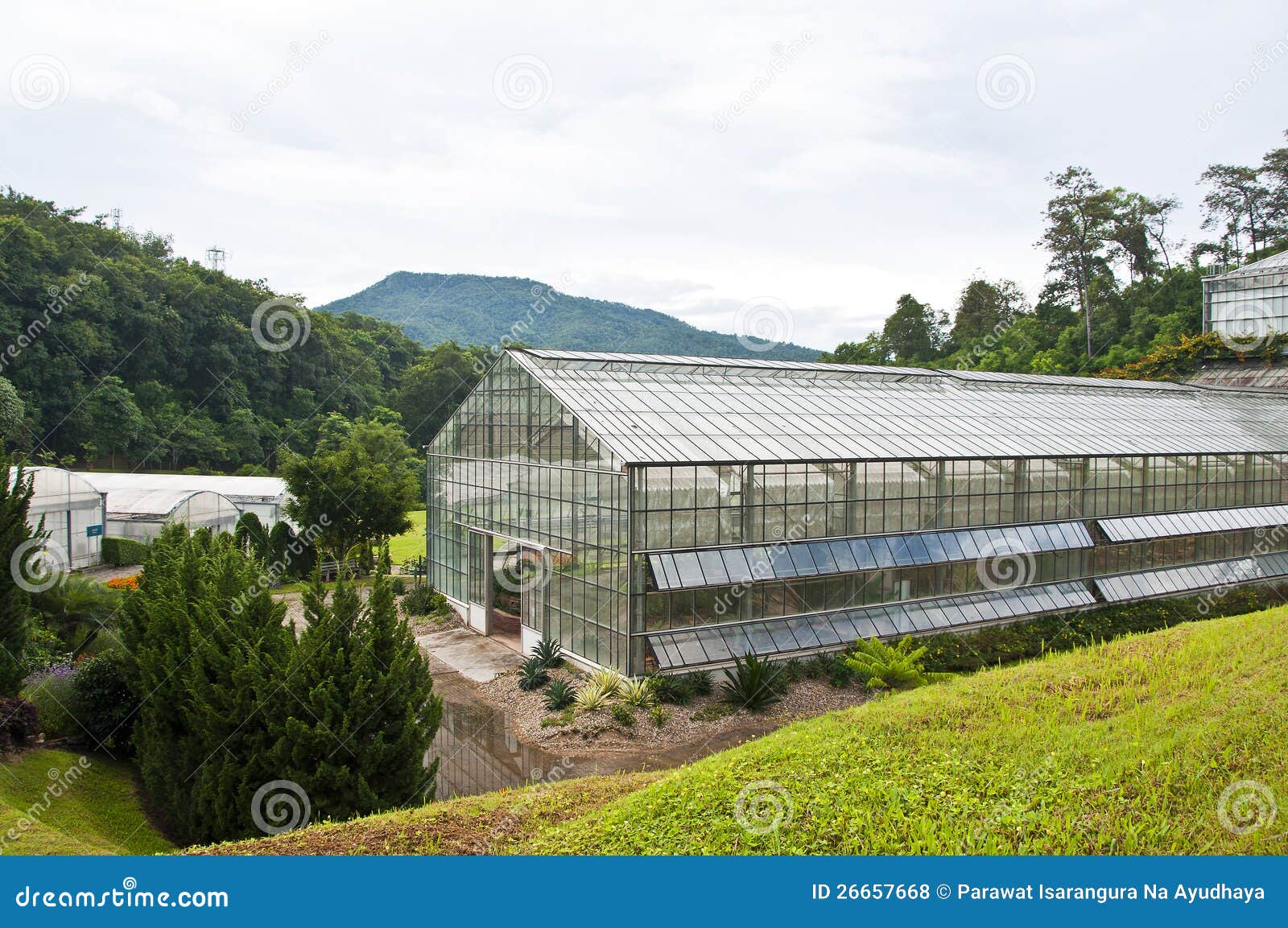 Glasshouse. stock photo. Image of botanical, horticulture 26657668