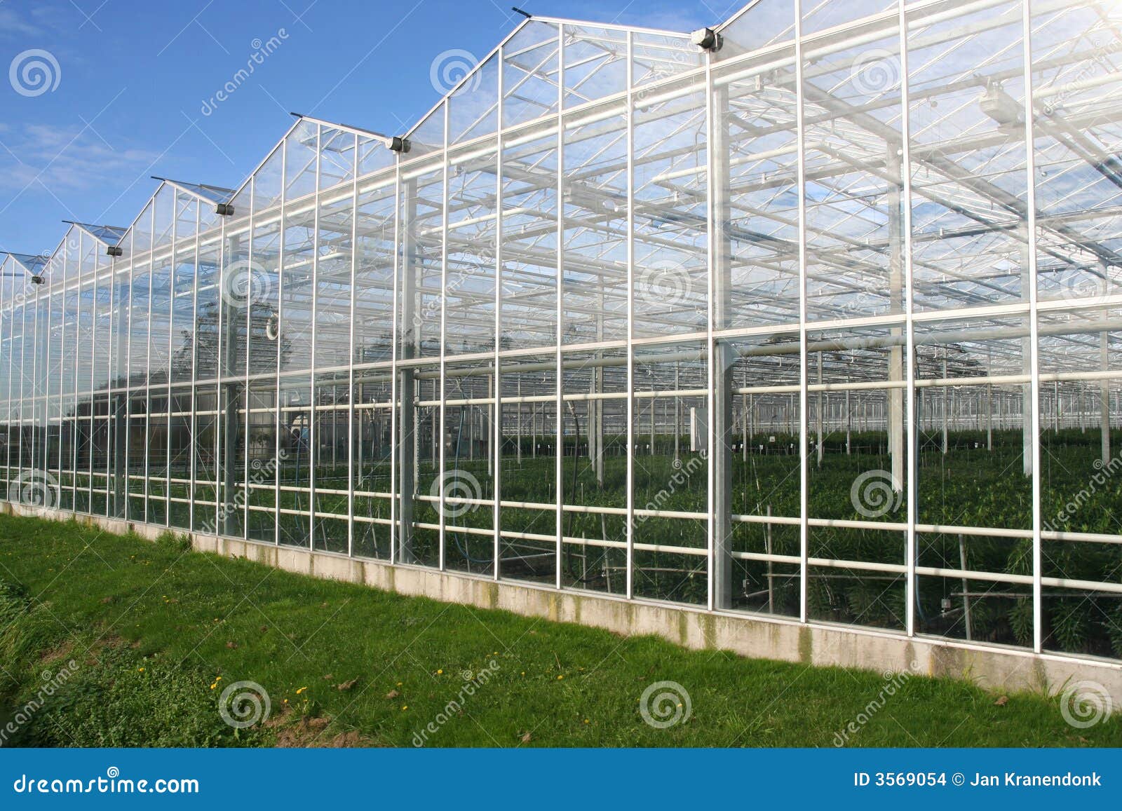 Glasshouse stock photo. Image of hothouse, plants, heat 3569054